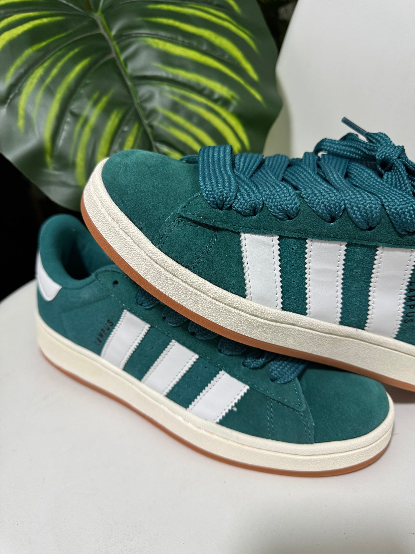 Adidas campus verde