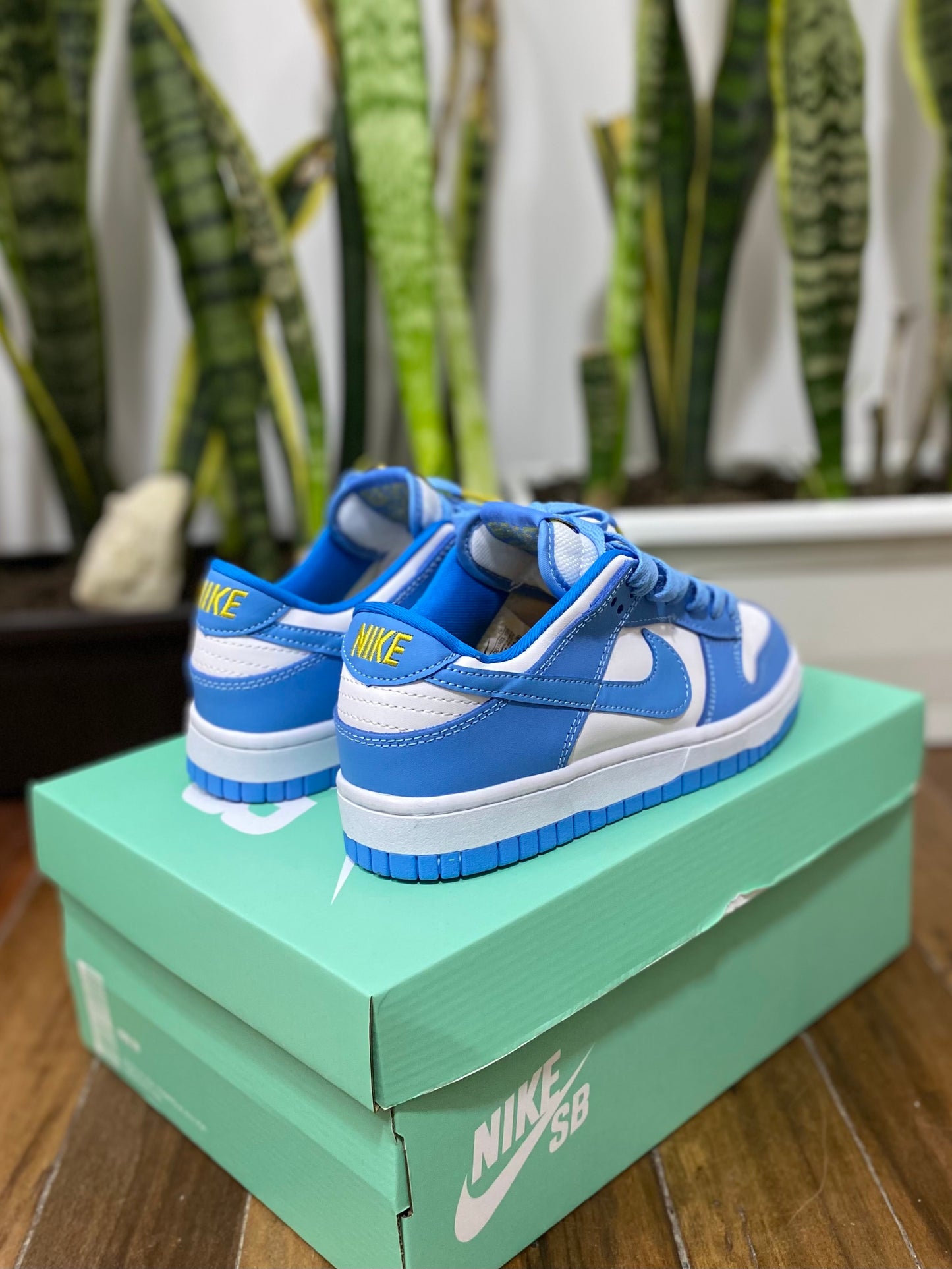 Nike SB Dunk Low “Coast”