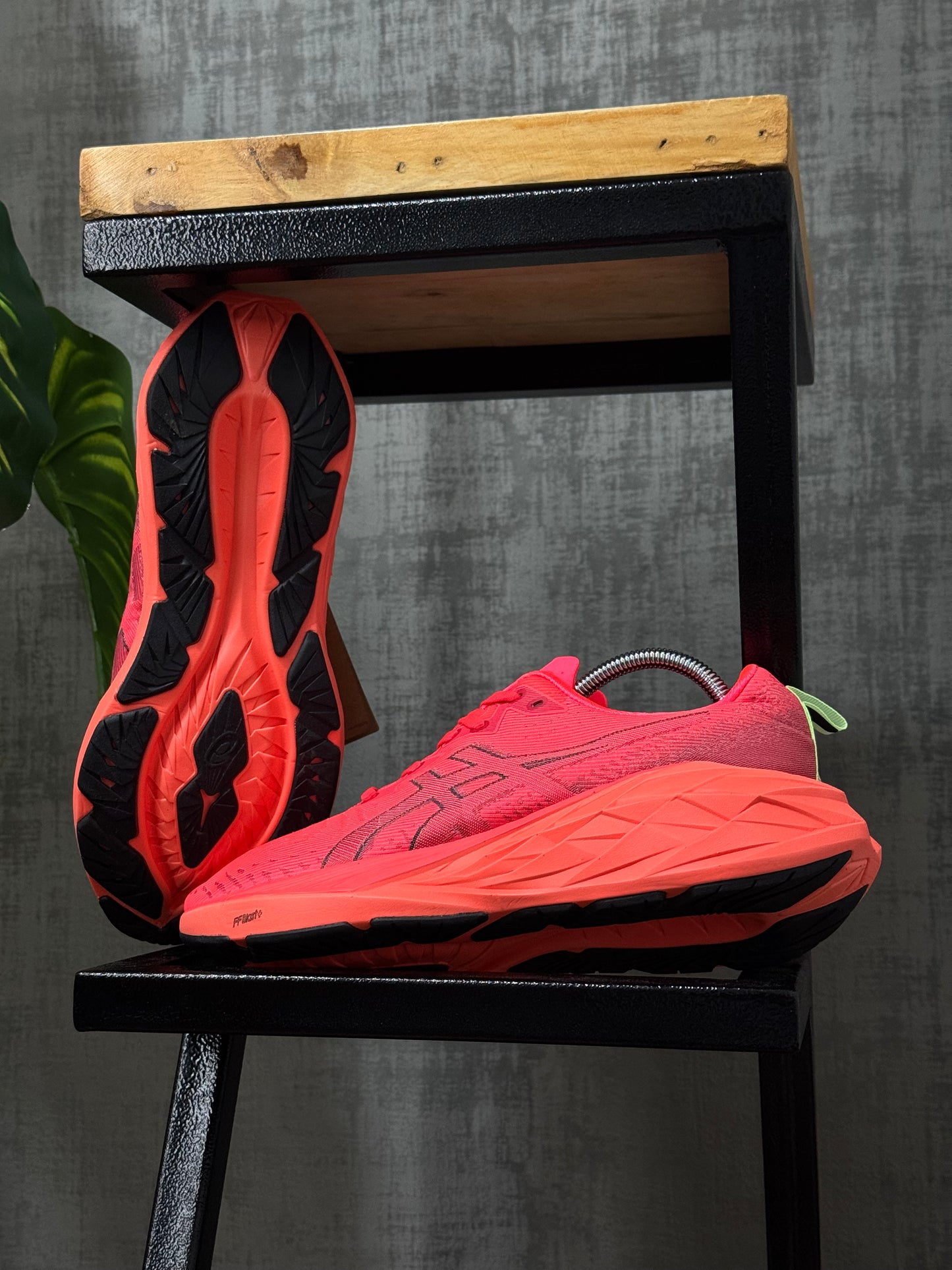 Asics Novablast 4 “Sunrise Red”