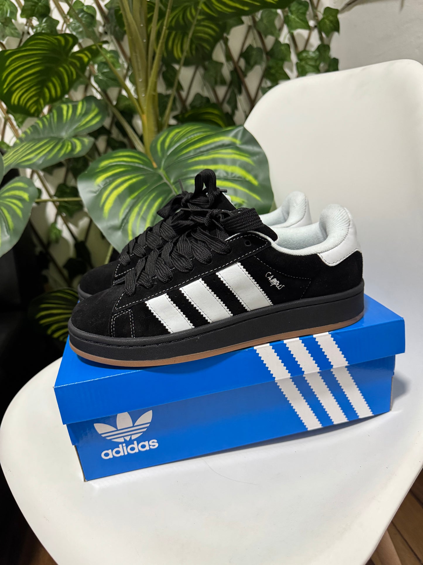 Adidas Campus x Korn