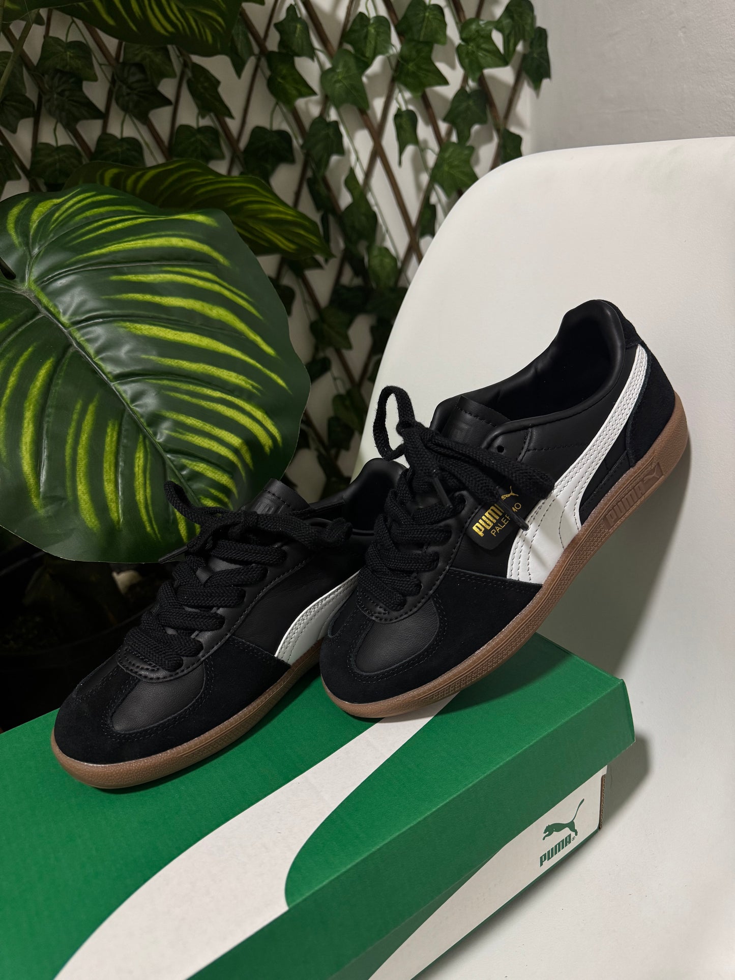 Puma Palermo Negra
