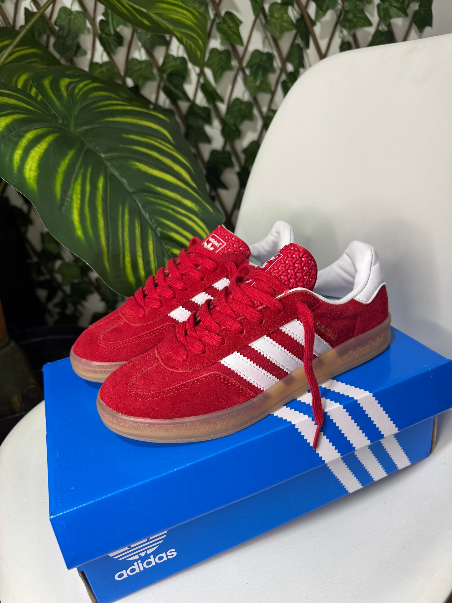 Adidas Gazelle Indoor “ Red”