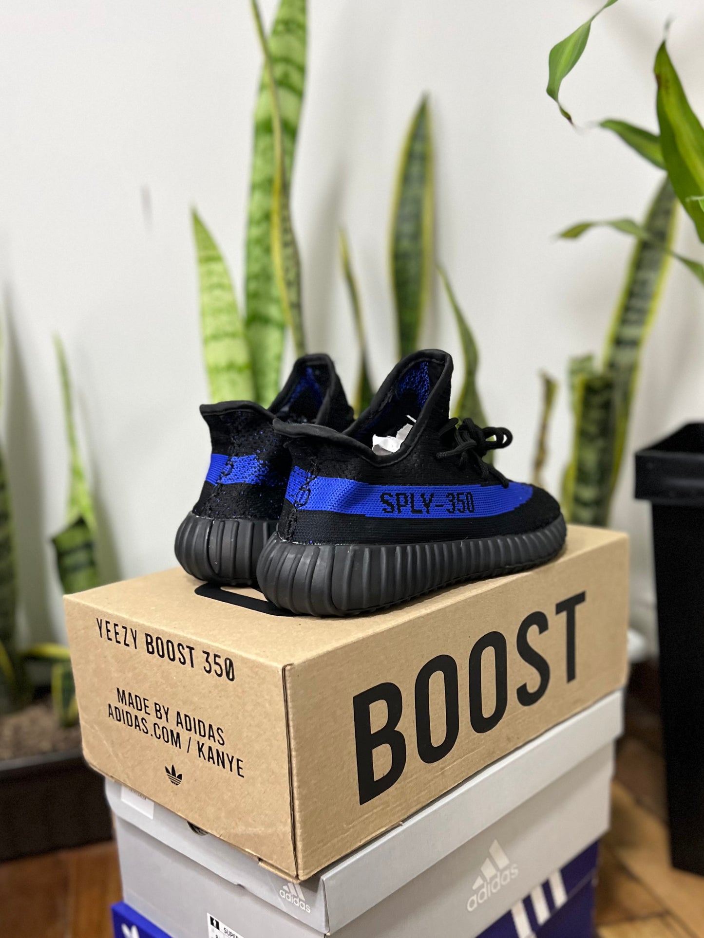 Adidas Yeezy Boost 350