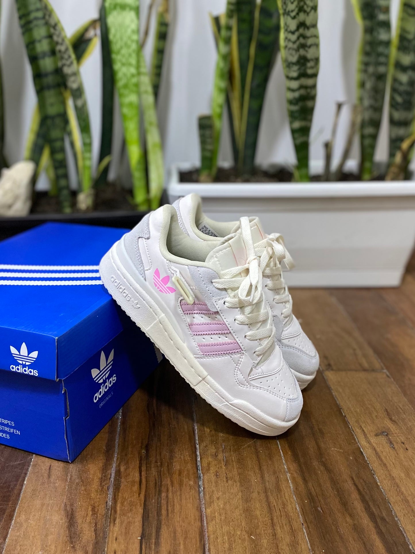 Adidas Forum Low