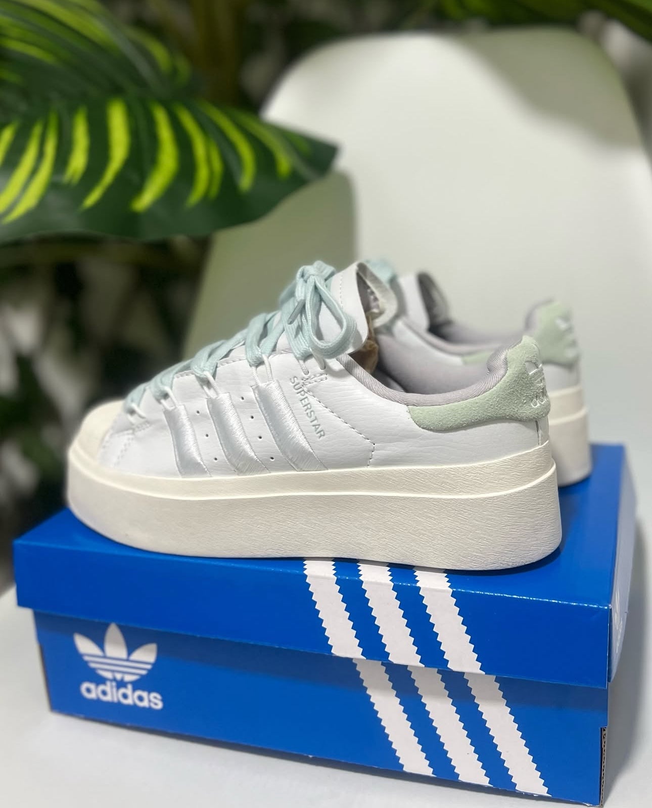Adidas Superstar Bonega “Green”