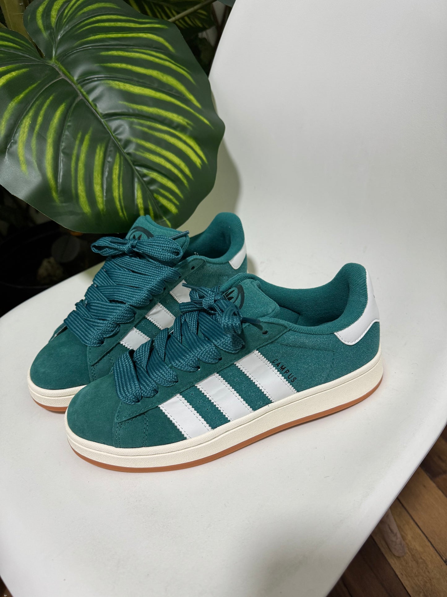 Adidas campus verde