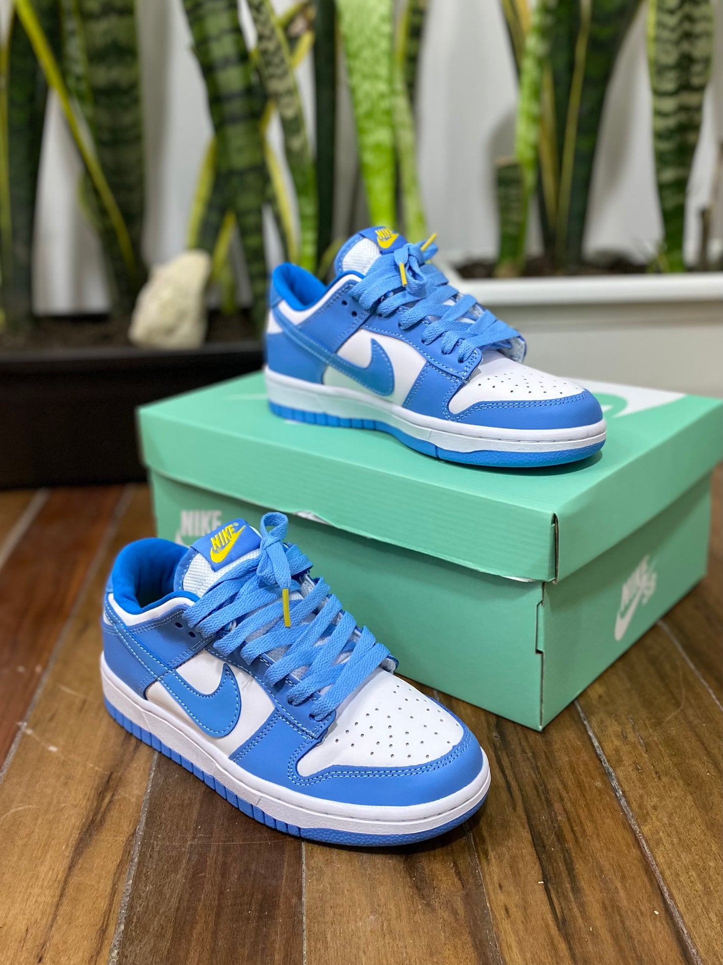 Nike SB Dunk Low “Coast”