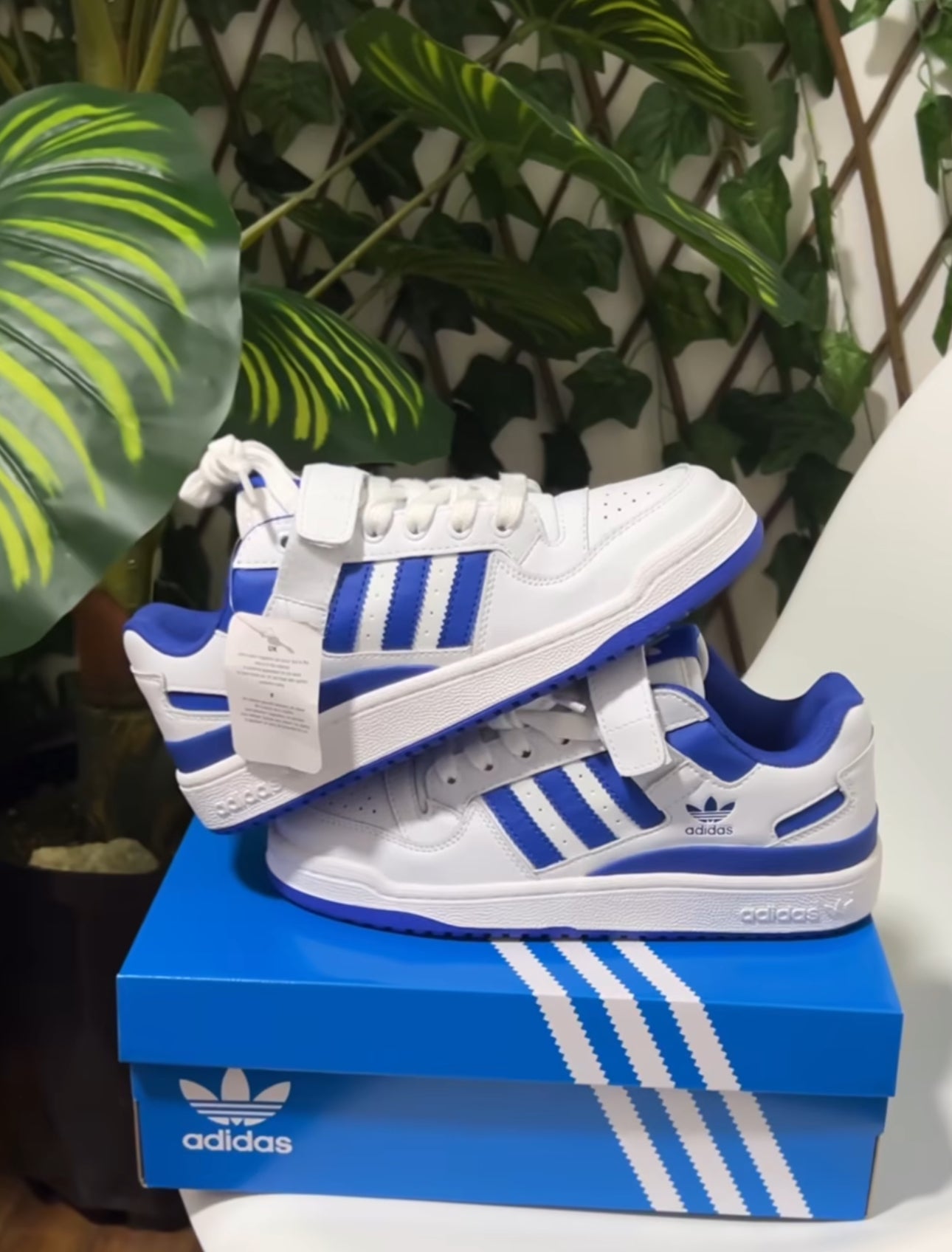 Adidas Forum Low “White/Blue”