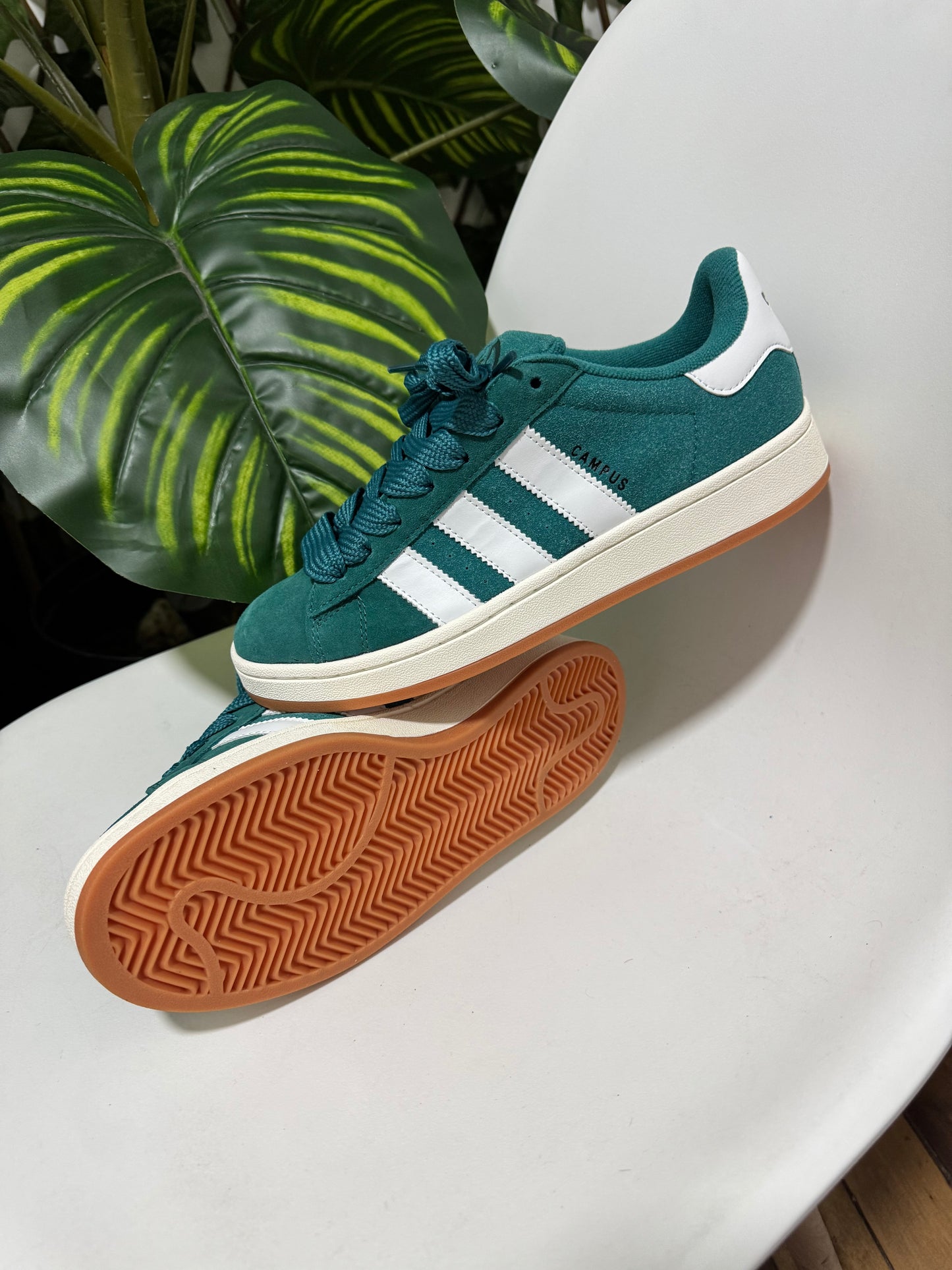 Adidas campus verde