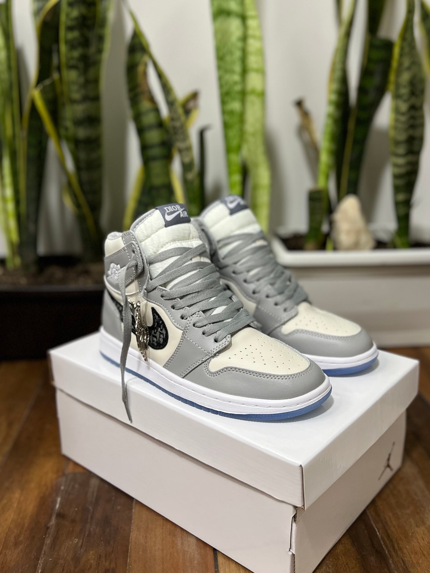 Air Jordan 1 High x Dior