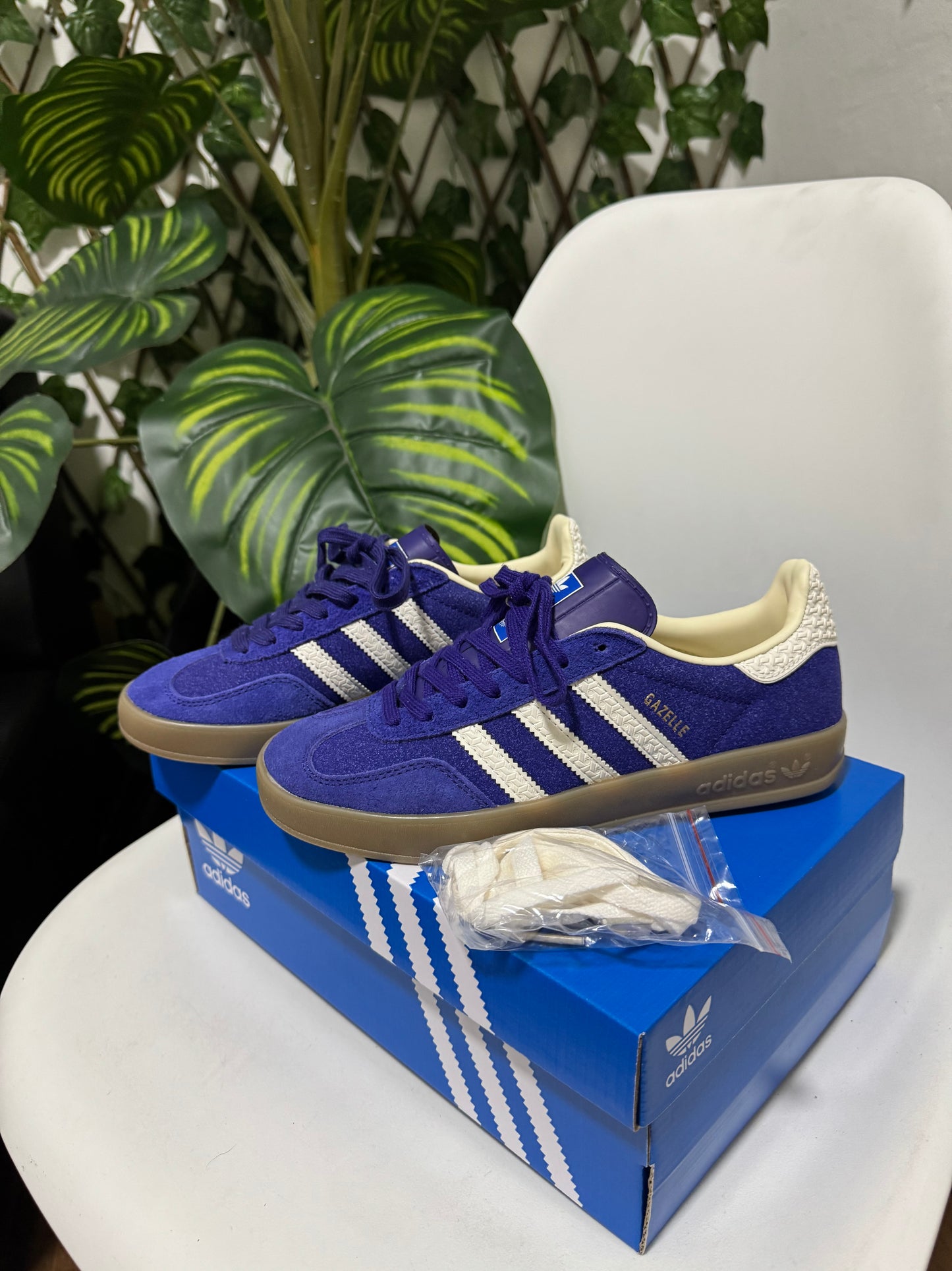 Adidas Gazelle Indoor Morada