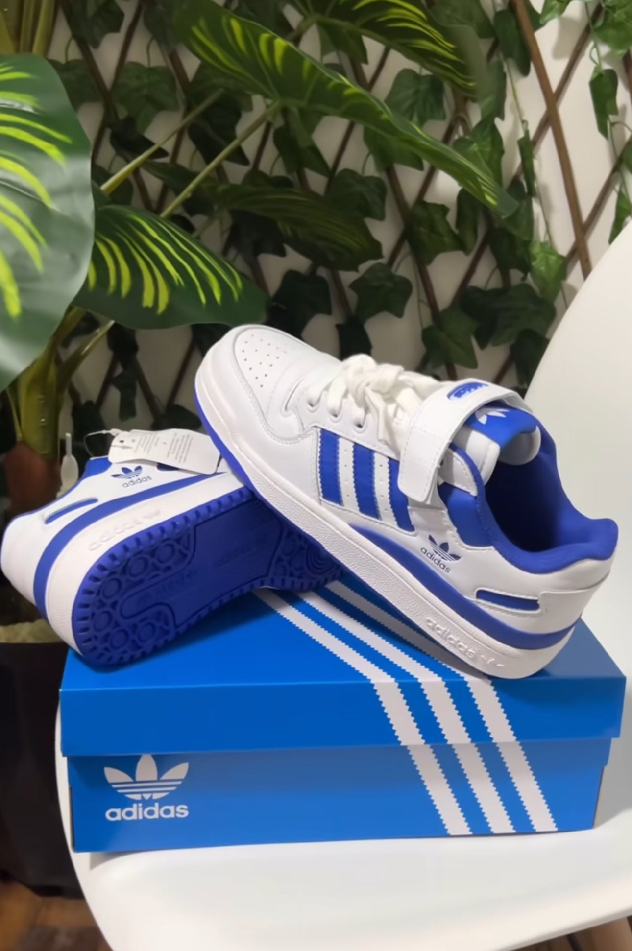 Adidas Forum Low “White/Blue”