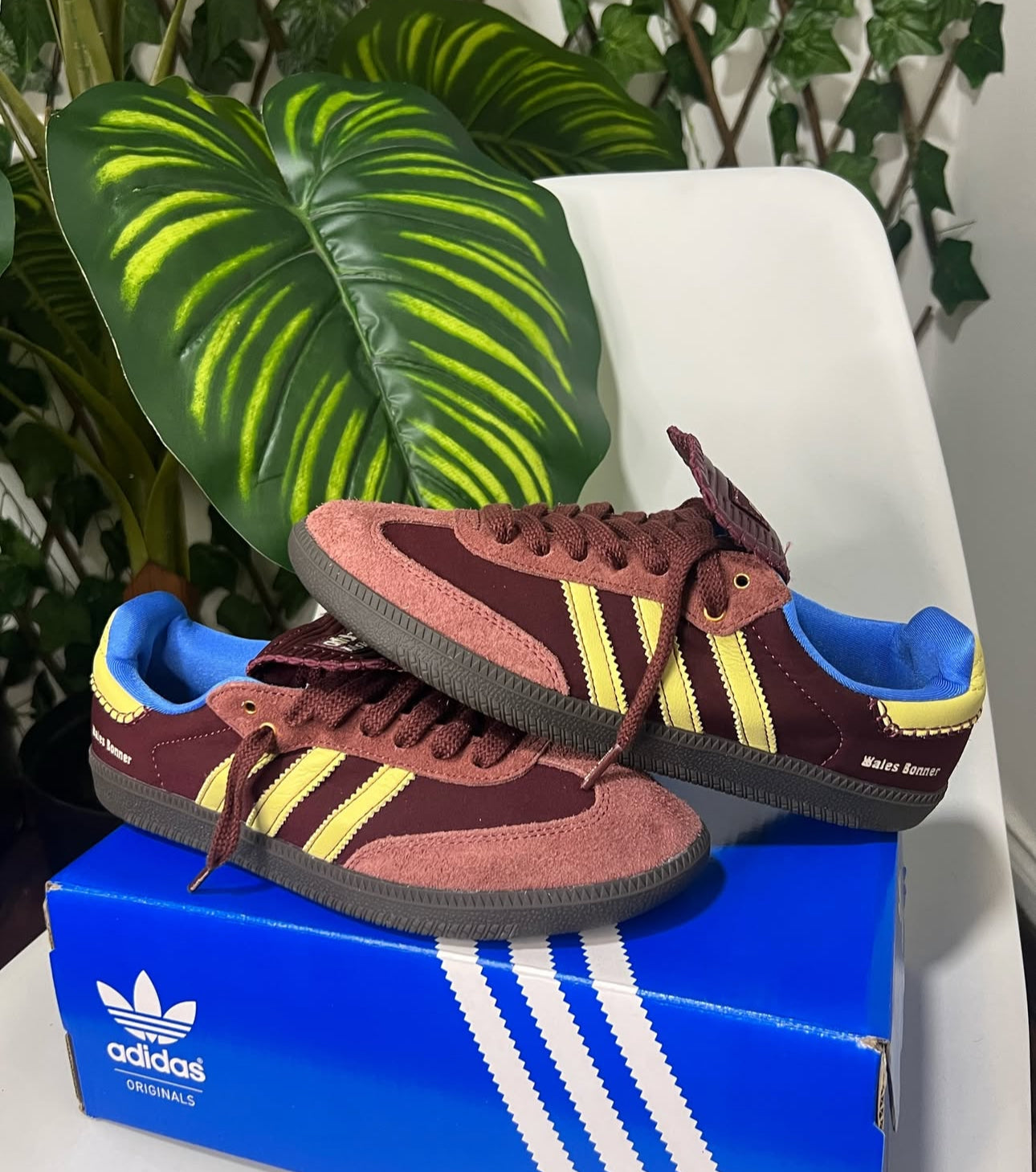 Adidas Samba x Wales Bonner