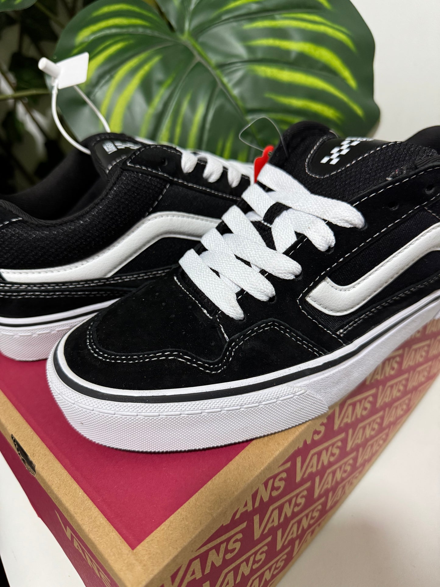 Vans Caldrone Classic Black