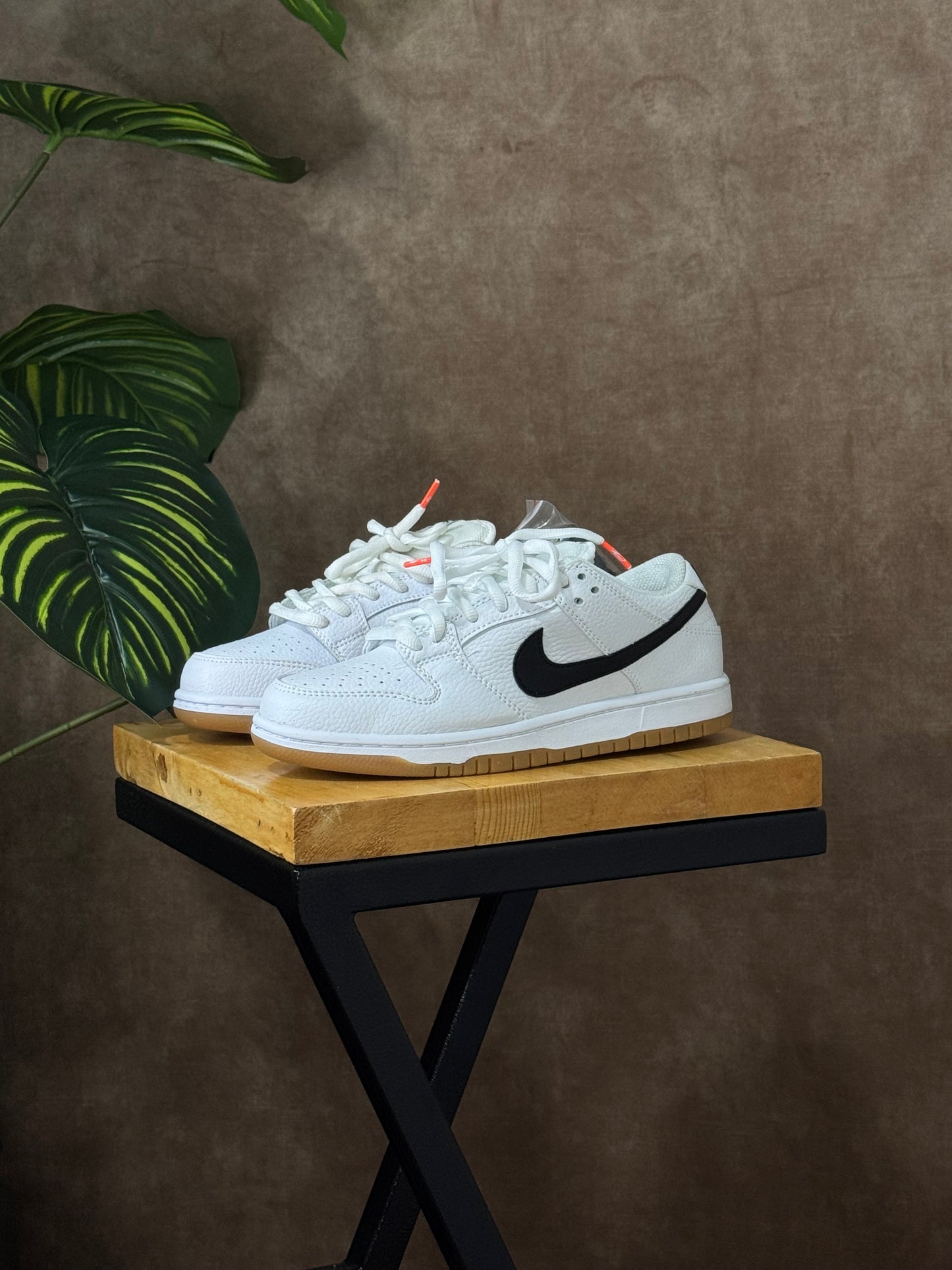 Nike SB Dunk Low White Gum