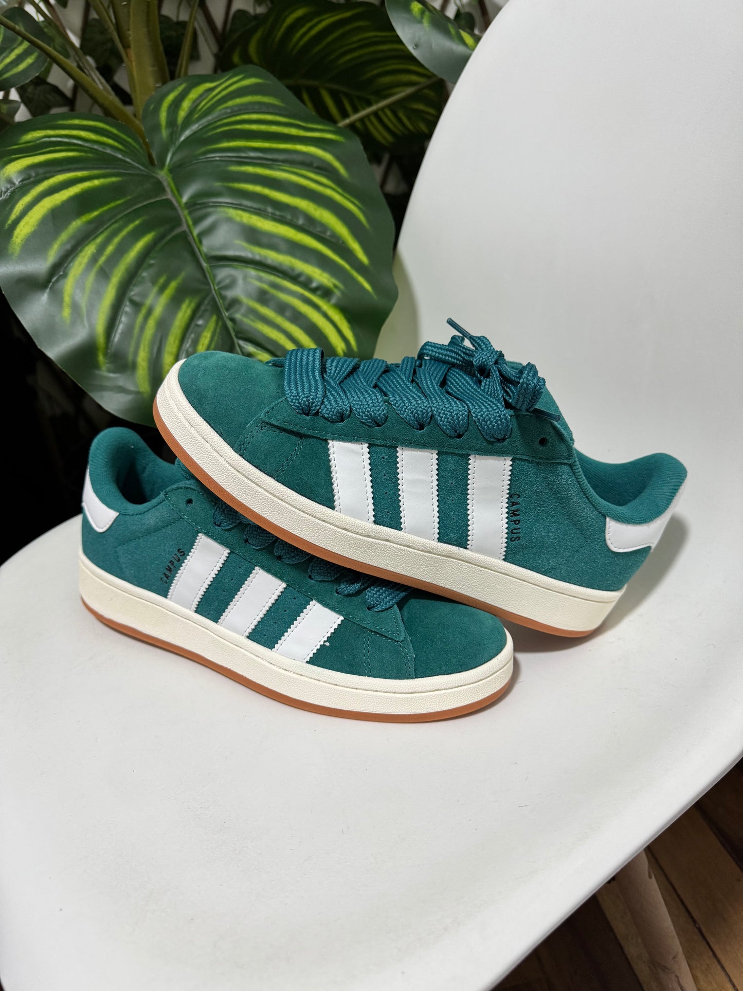 Adidas campus verde