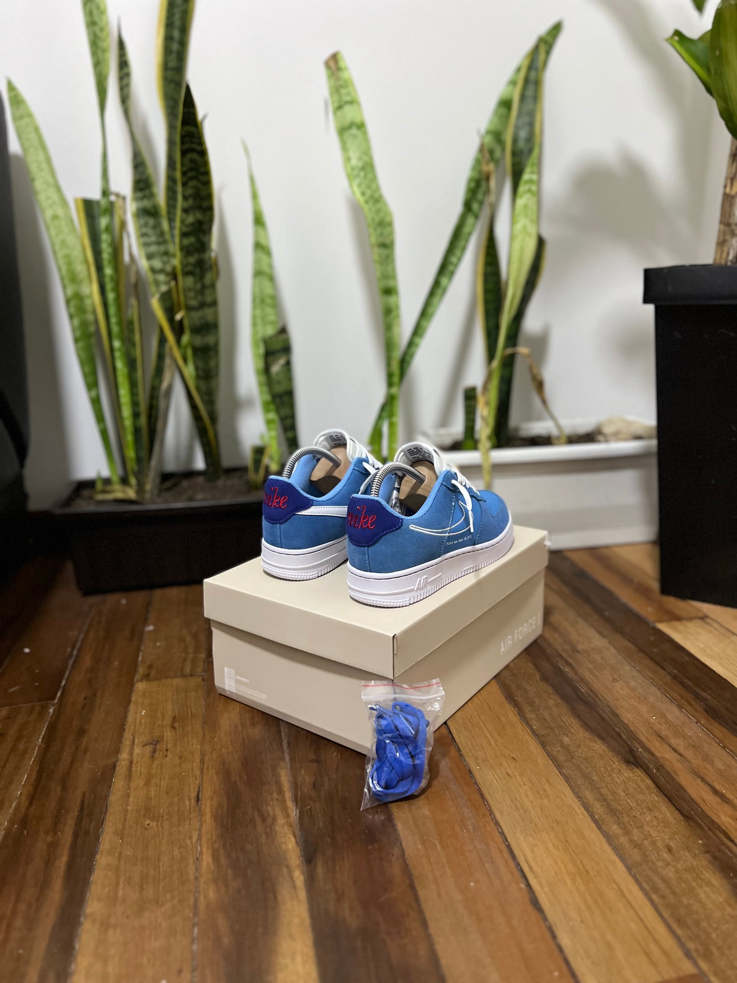 Nike Air Force 1 “Blue”