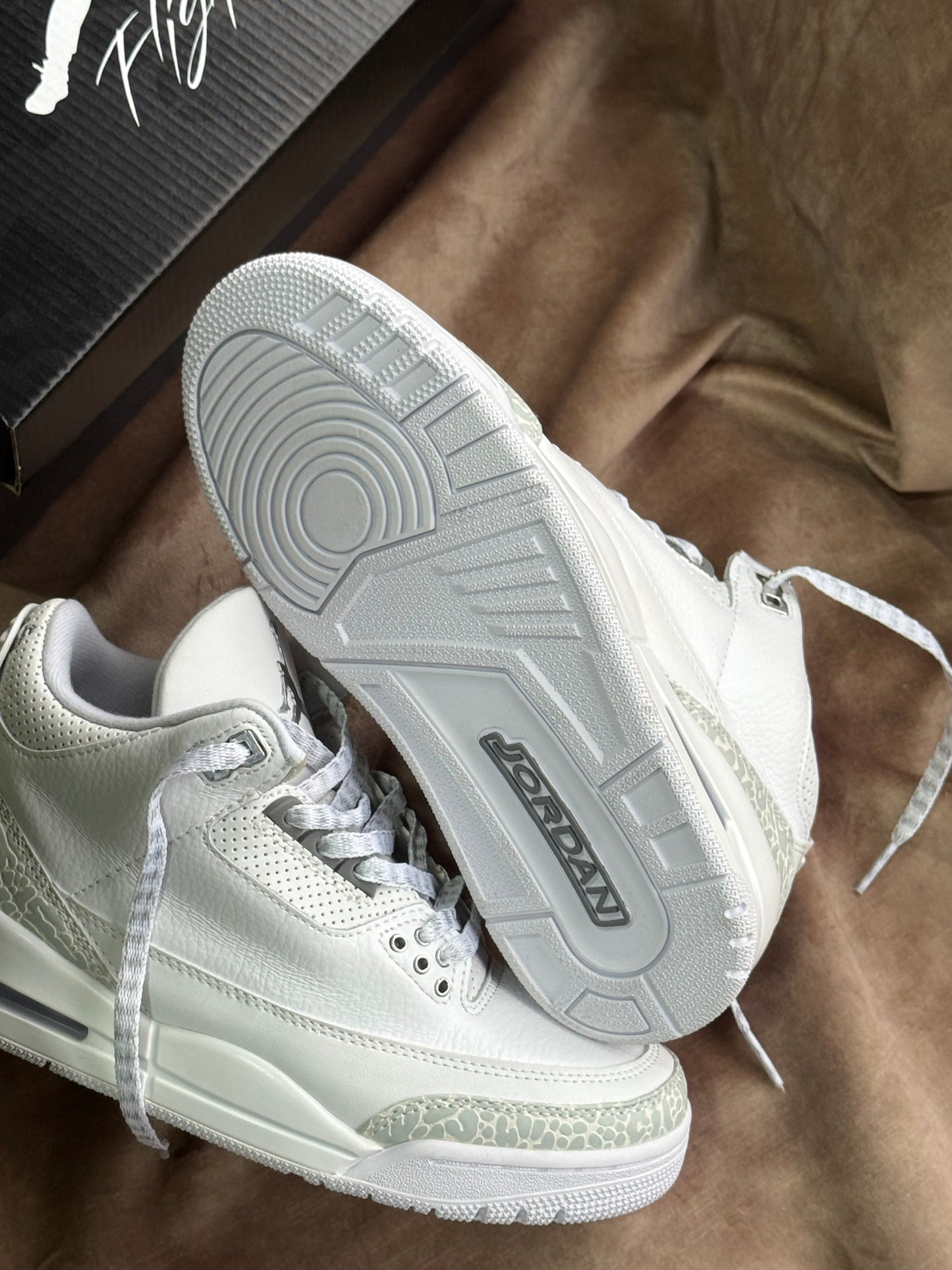 Air Jordan Retro 3 “Pure Money”
