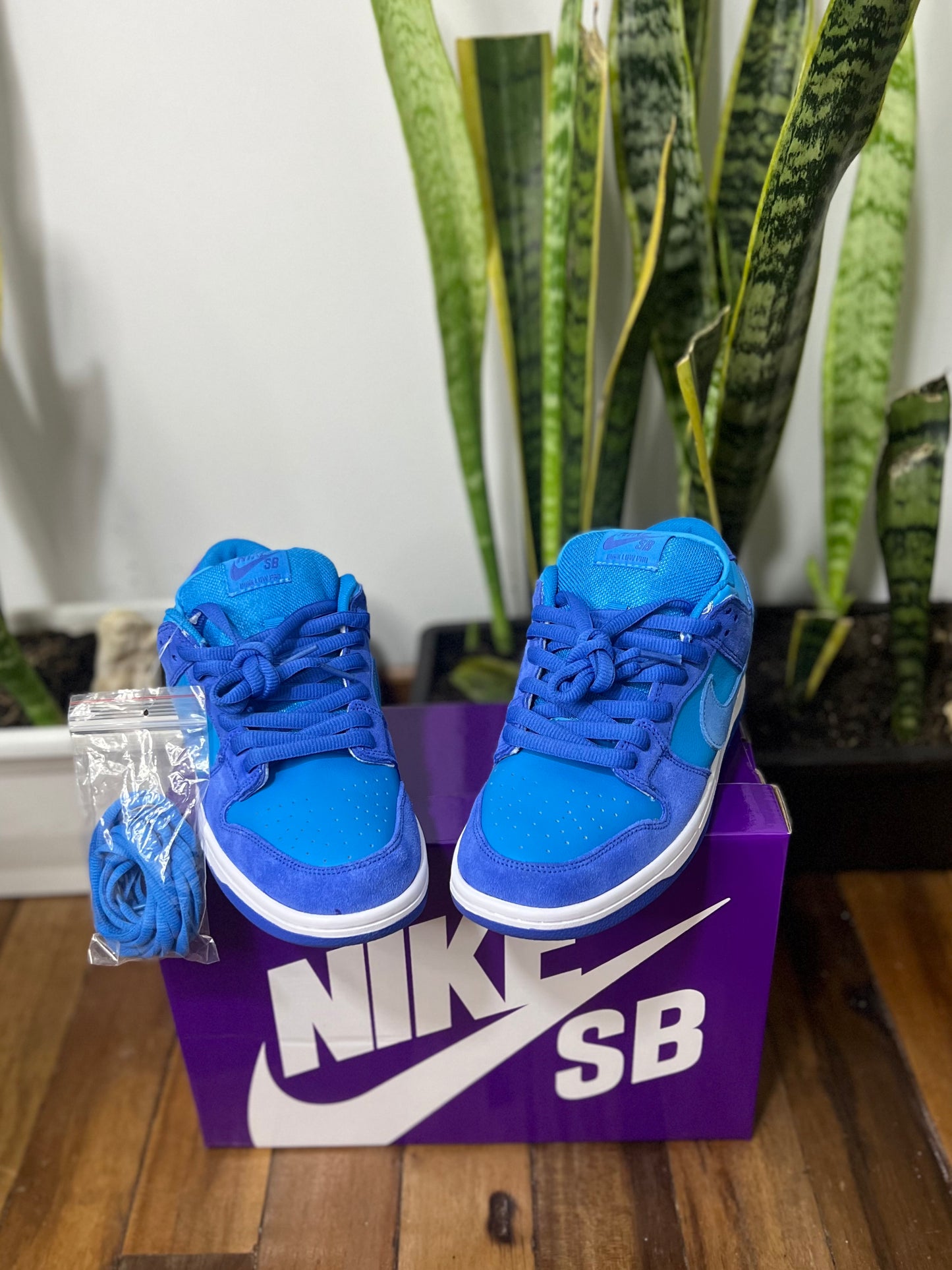 Nike SB Dunk Low “Blue Raspberry”