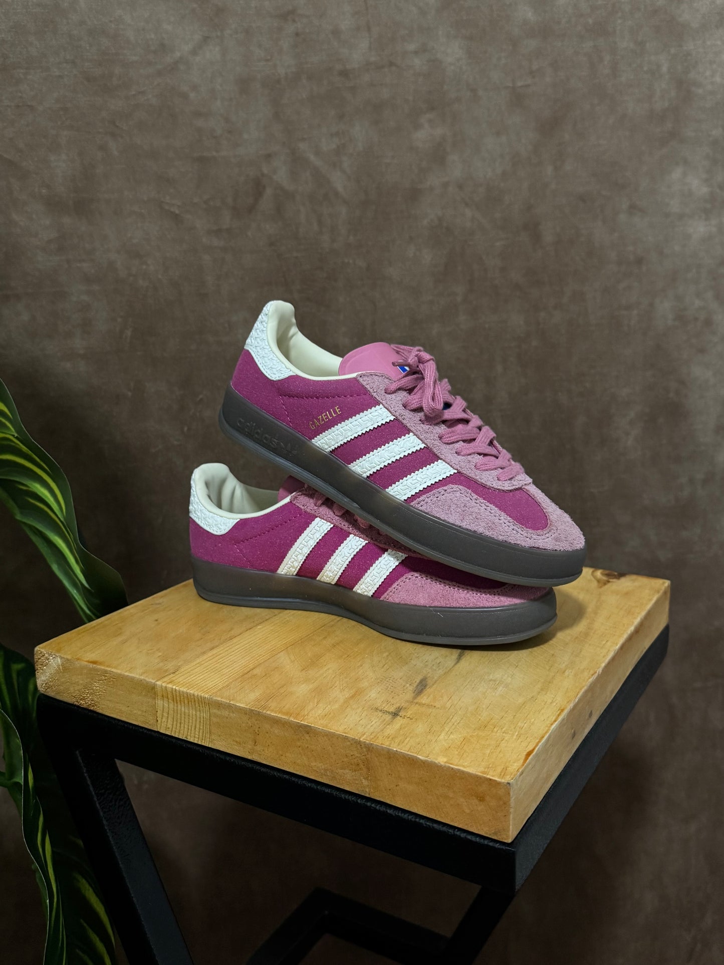 Adidas Gazelle Indoor “Pink”
