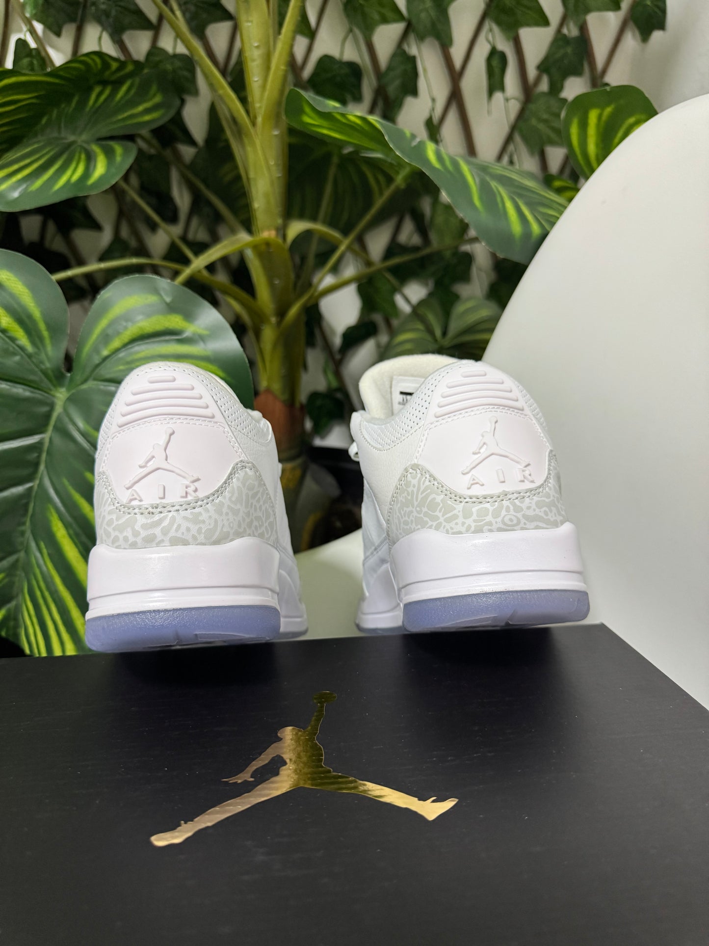 Air Jordan 3 White