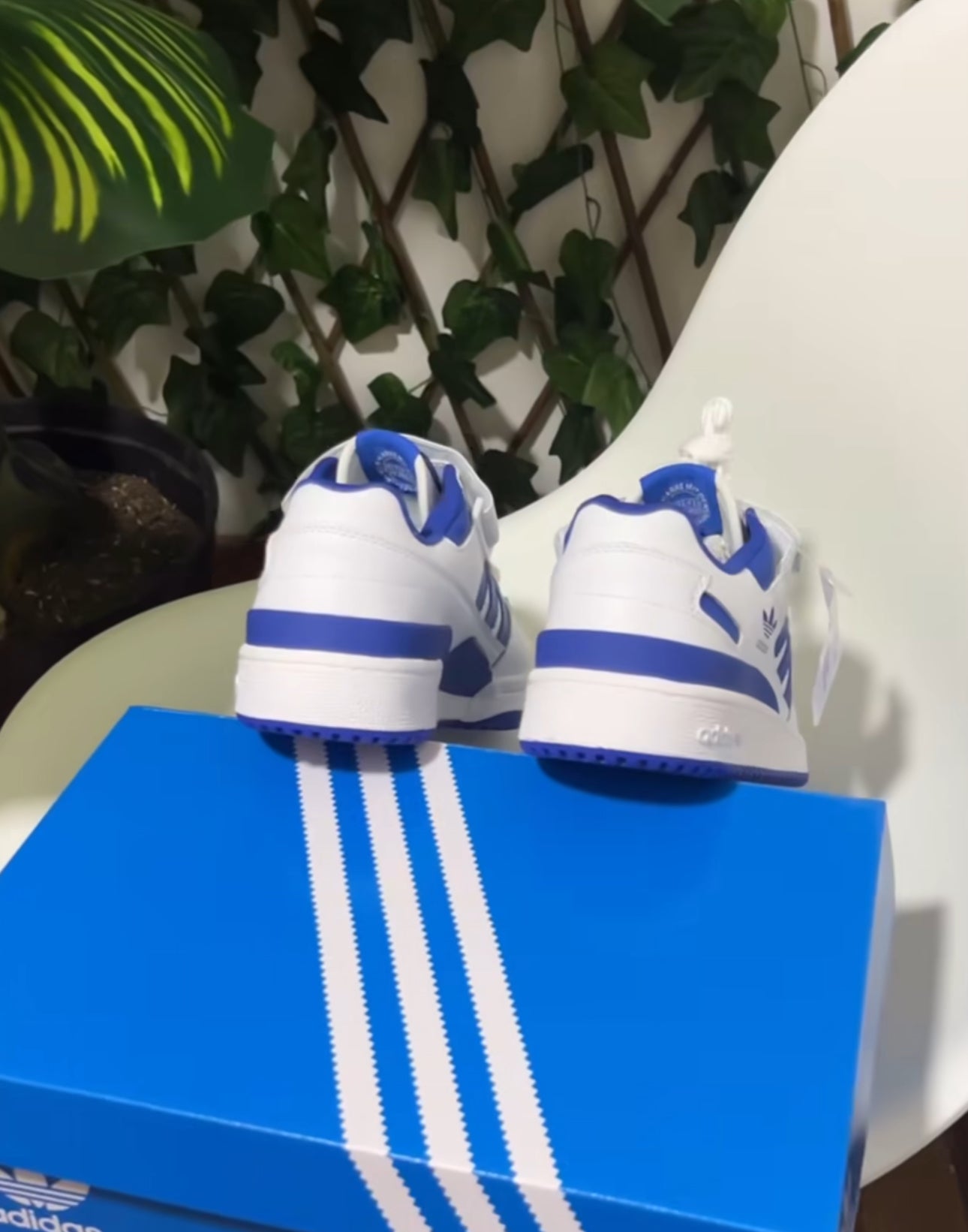Adidas Forum Low “White/Blue”