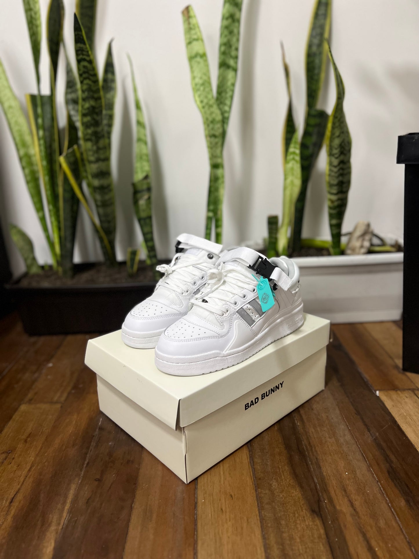 Adidas Forum x Bad Bunny “White”