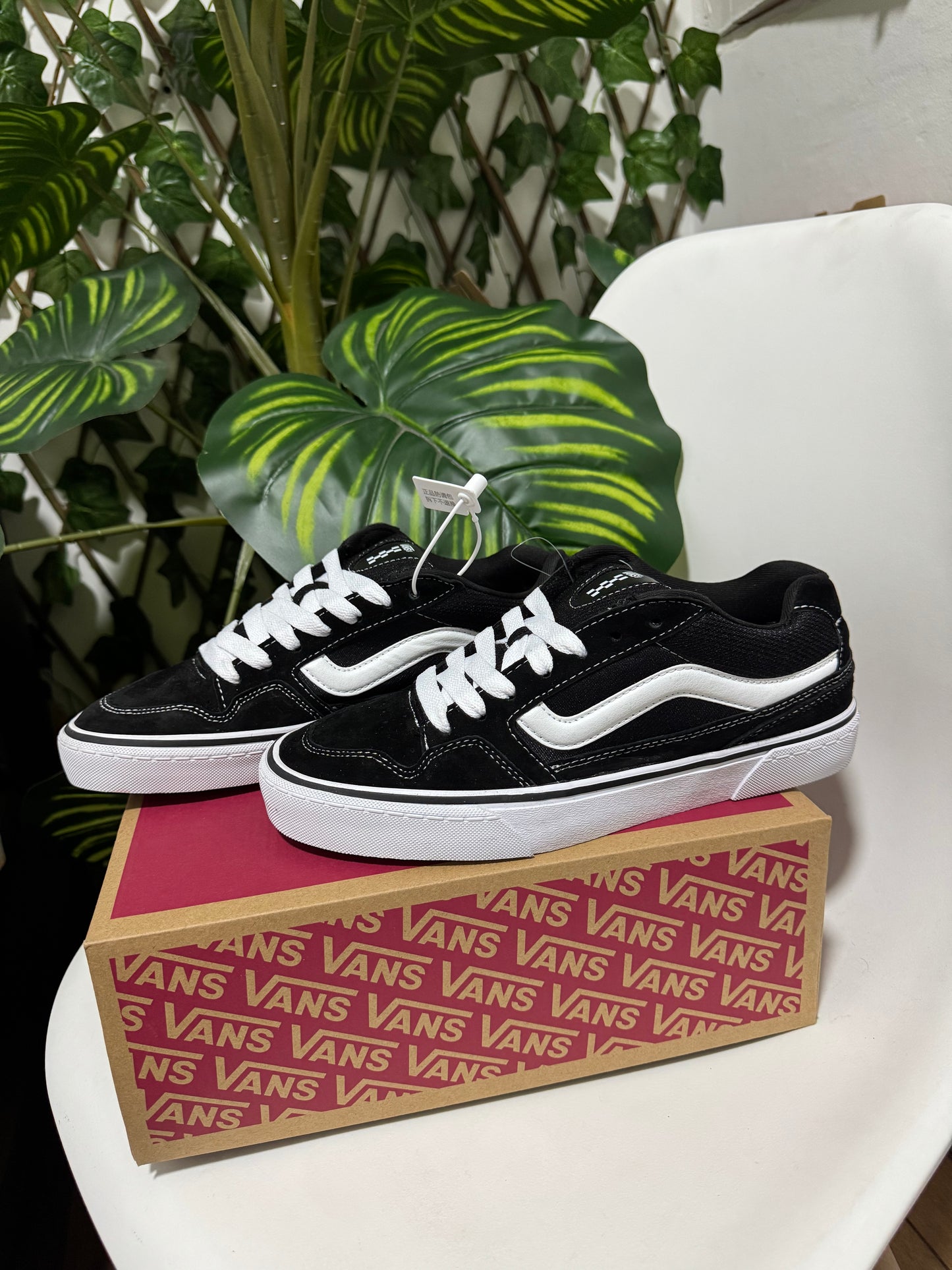 Vans Caldrone Classic Black