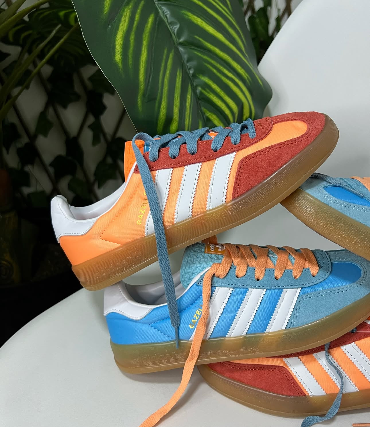 Adidas Gazelle Indoor “Prevolet”