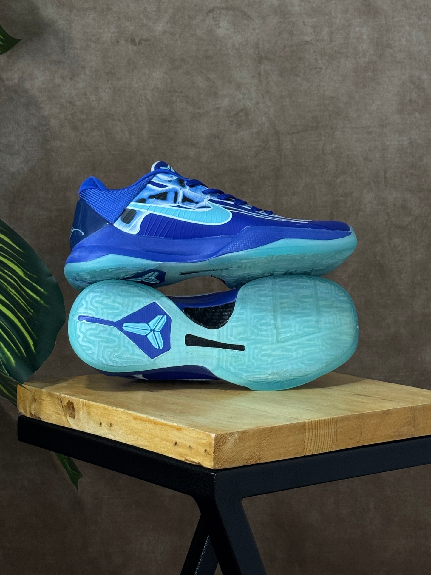 Nike Kobe 5 Protro x Ray