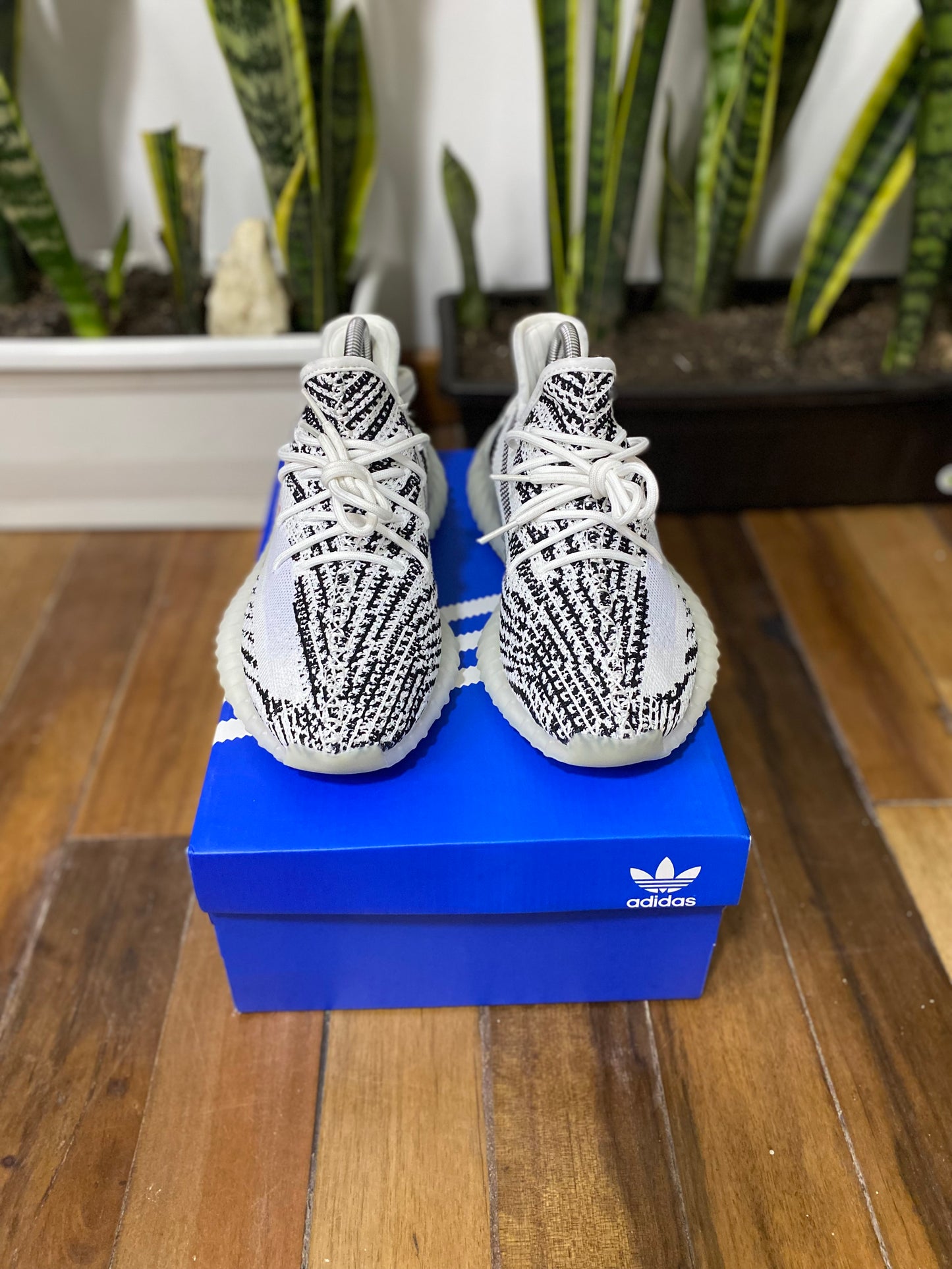 Adidas Yeezy 350 “Oreo”