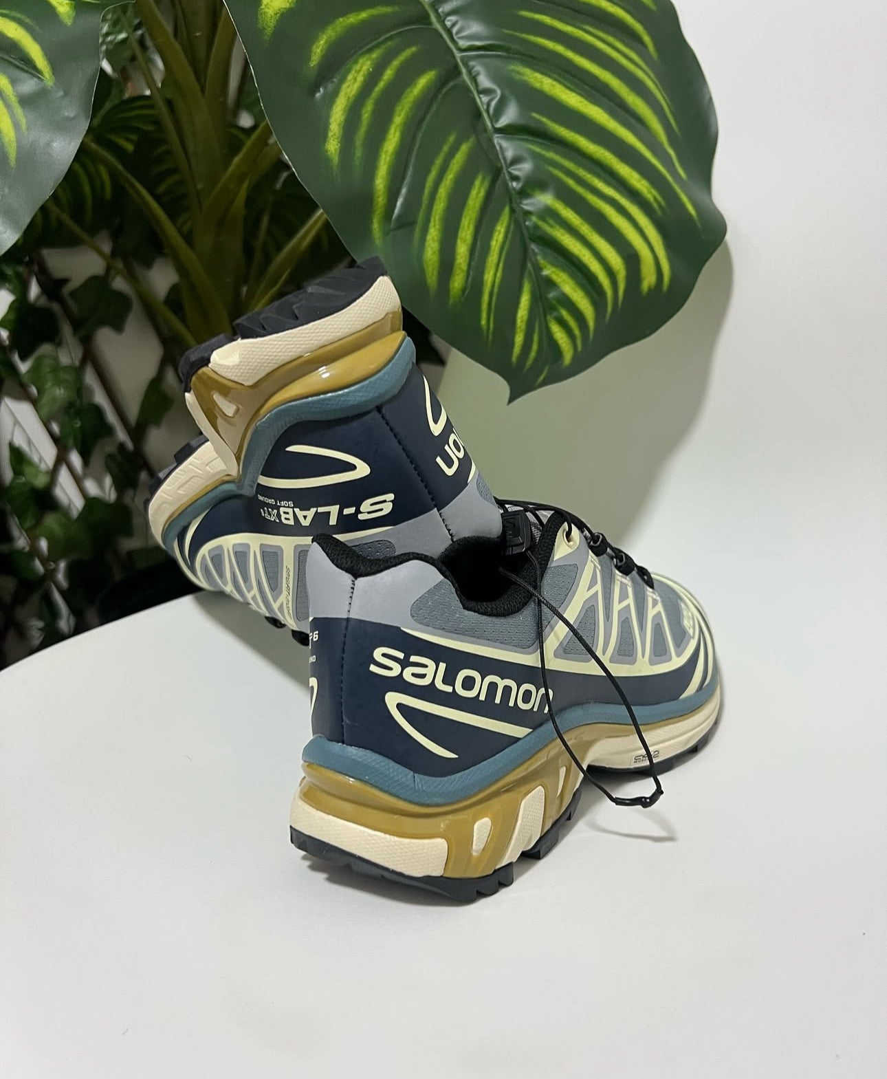 Salomón XT-6