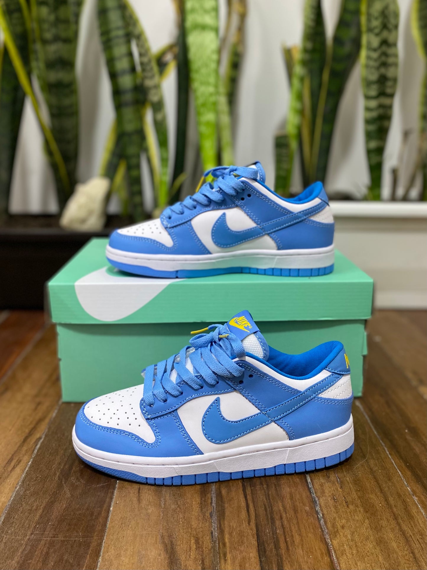 Nike SB Dunk Low “Coast”