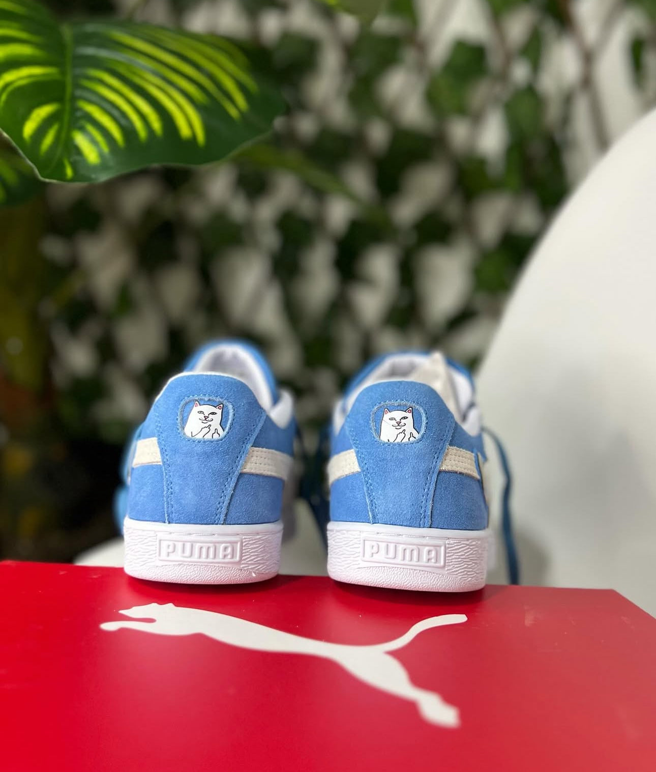 Puma Suede x RIPNDIP