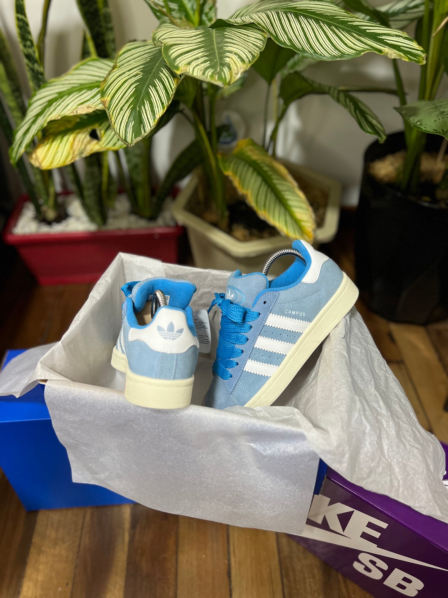 Adidas Campus 00s “Blue”