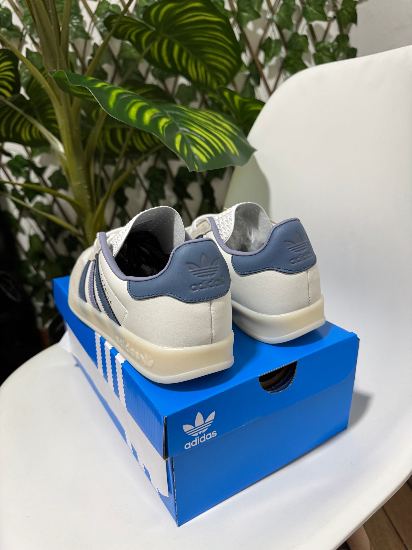 Adidas Gazelle Indoor “White Navy”