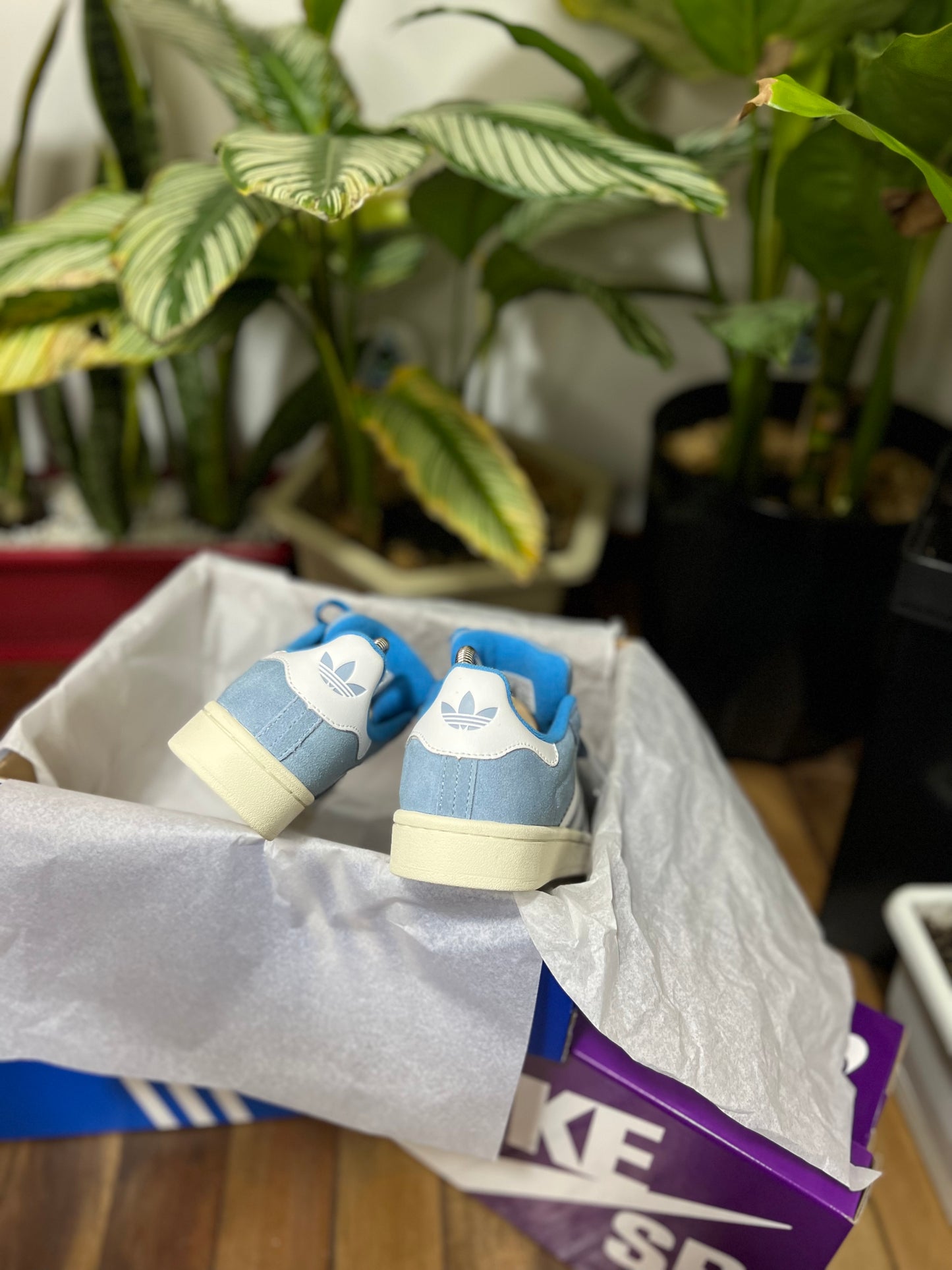 Adidas Campus 00s “Blue”