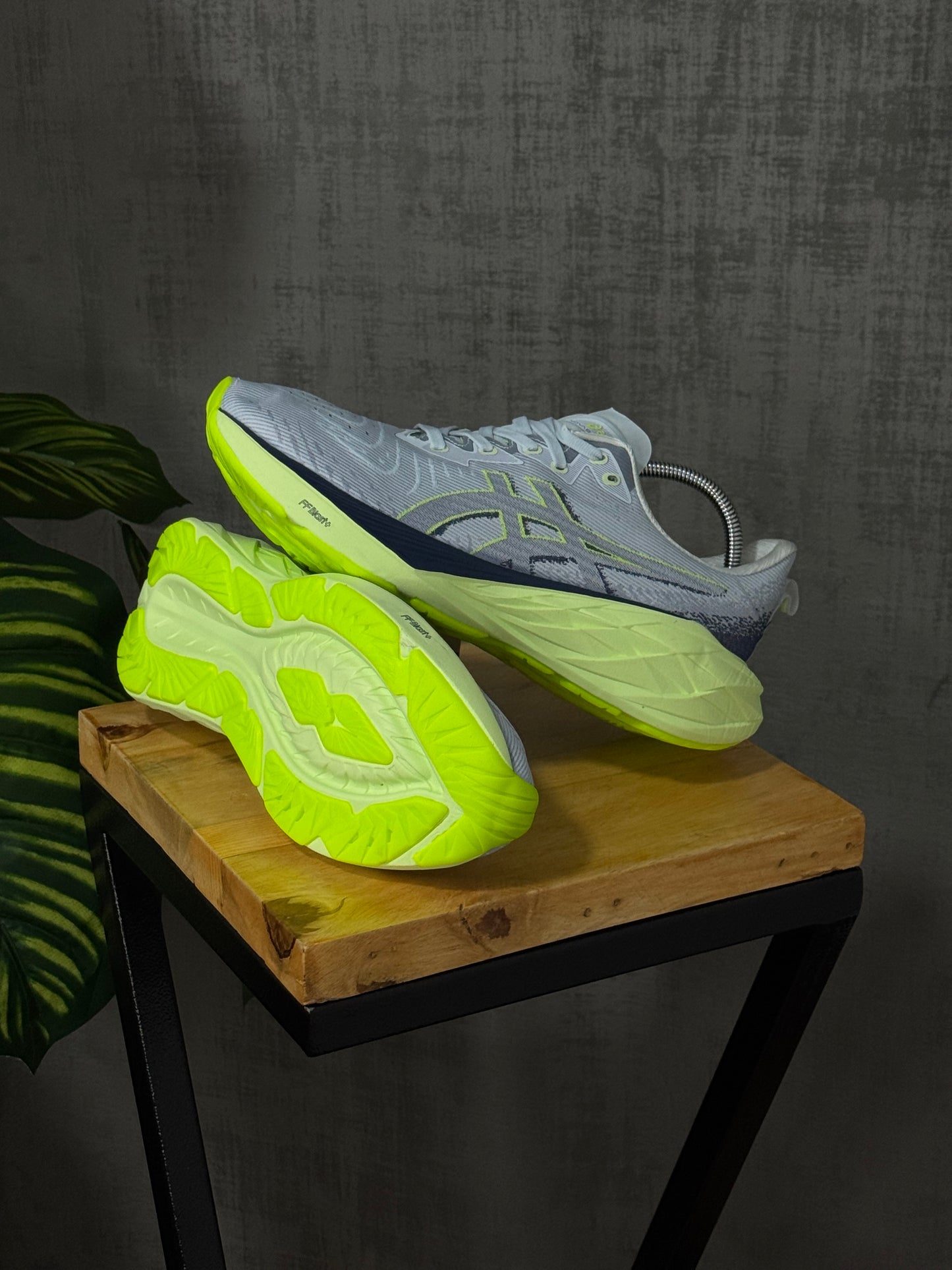 Asics Novablast 4 Gris