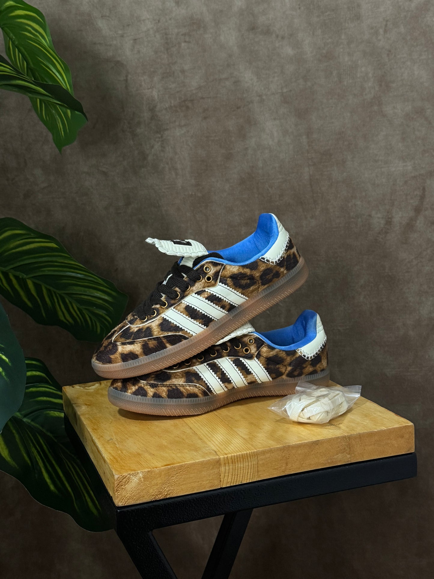 Adidas Samba Wales Bonner “Leopard”