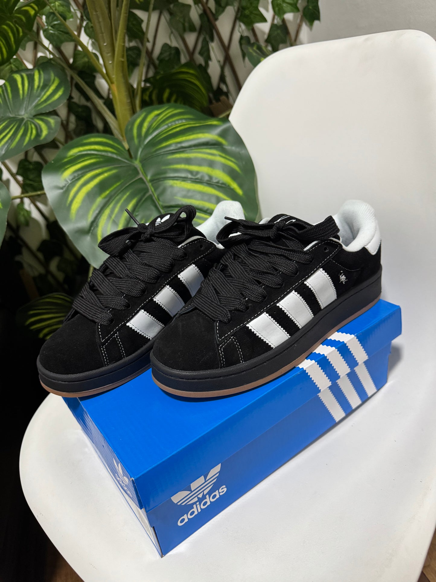Adidas Campus x Korn