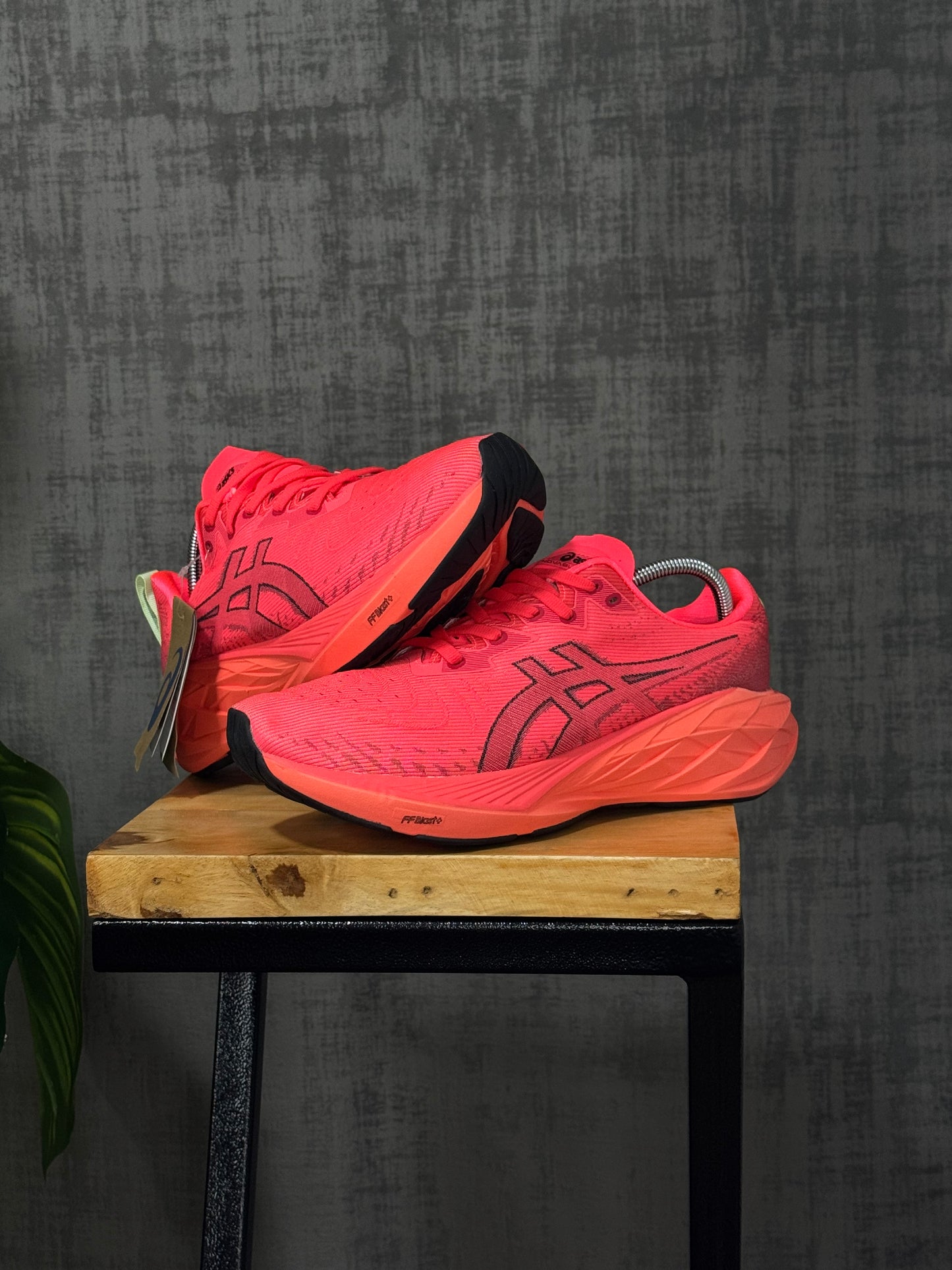 Asics Novablast 4 “Sunrise Red”