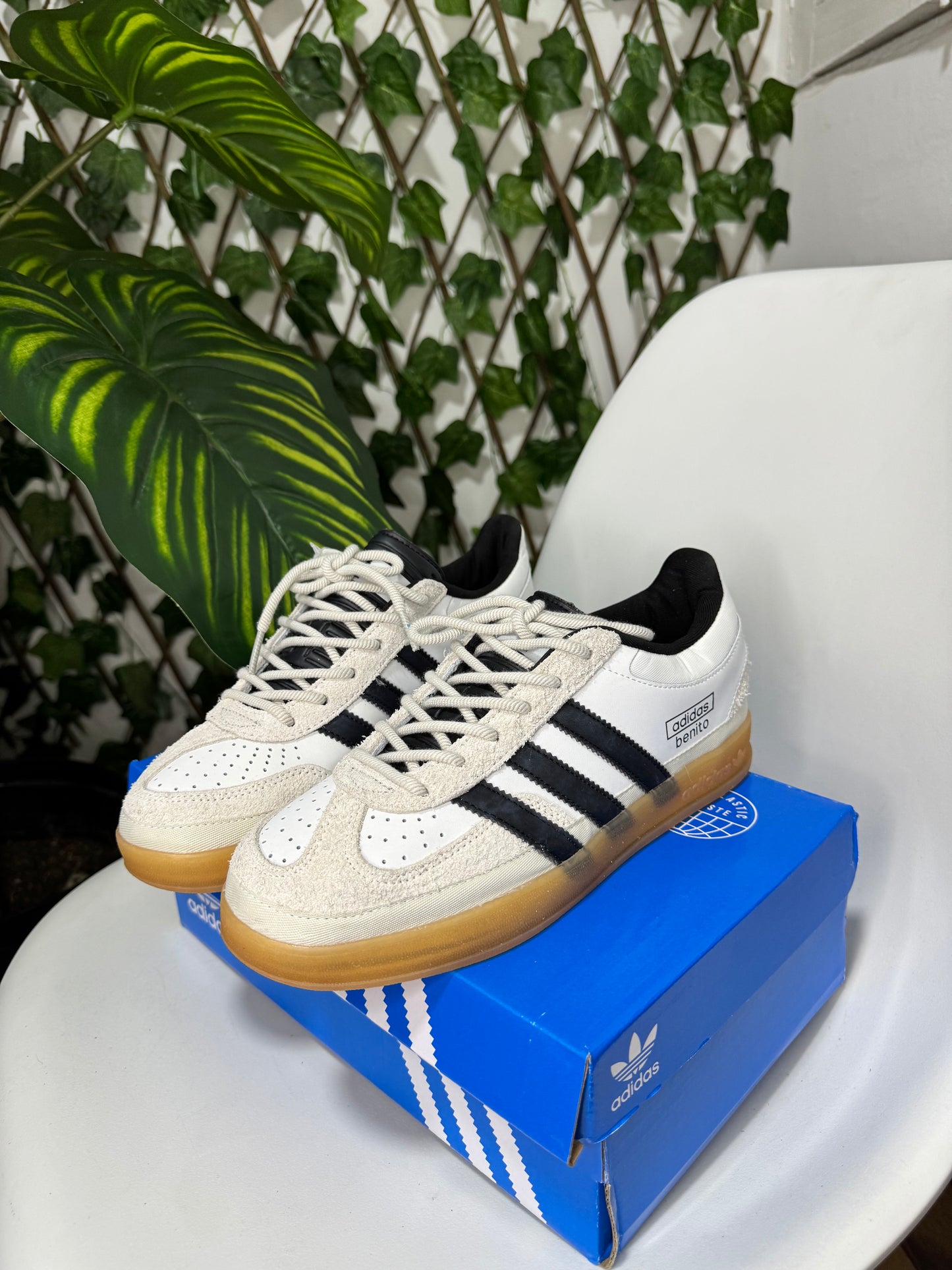 Adidas Gazelle Indoor Benito x Bad Bunny