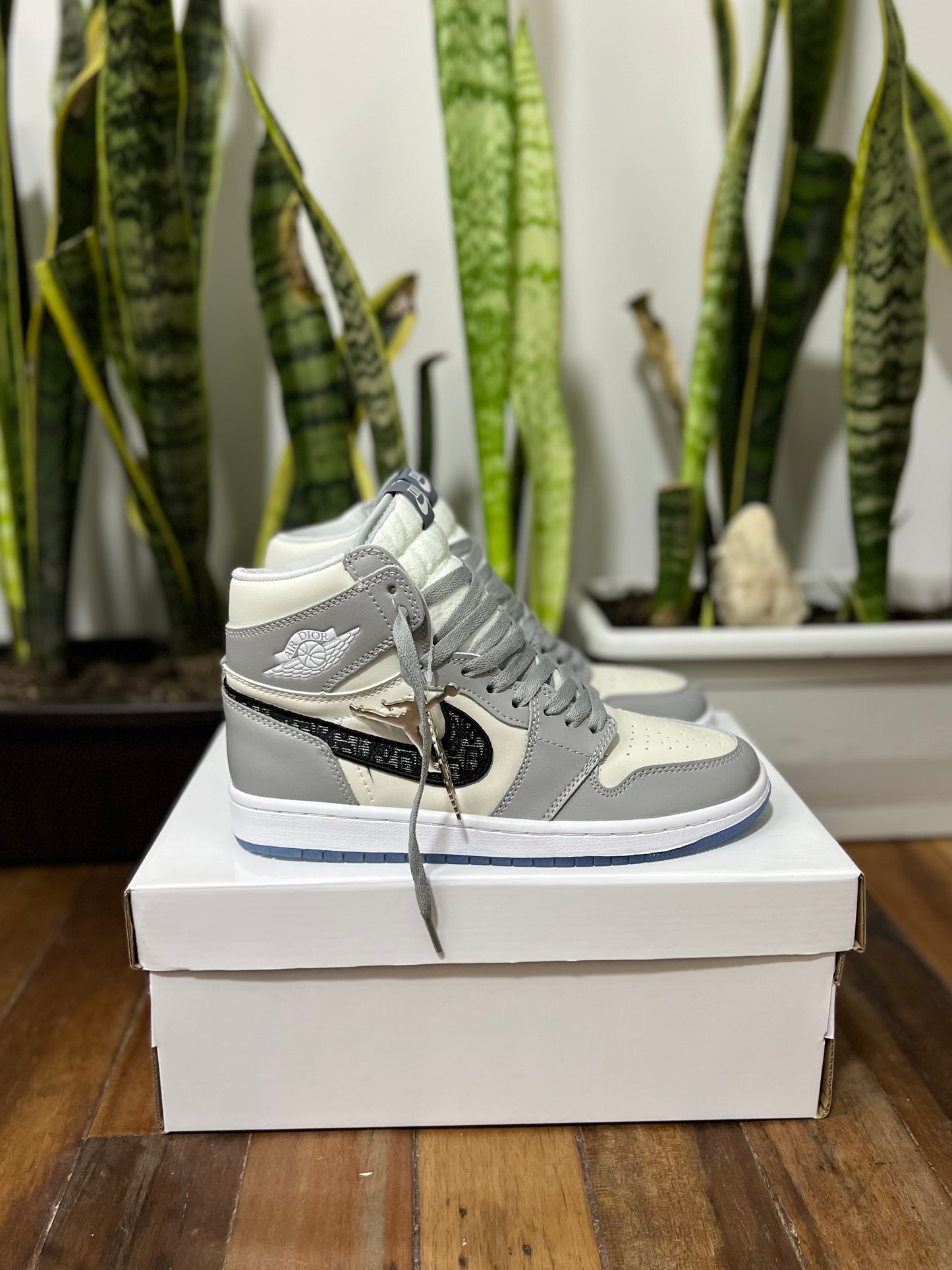 Air Jordan 1 High x Dior