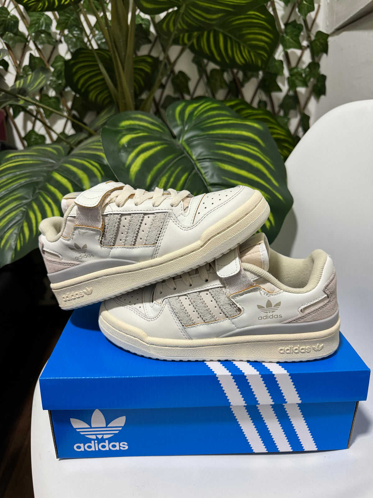 Adidas Forum Low 84
