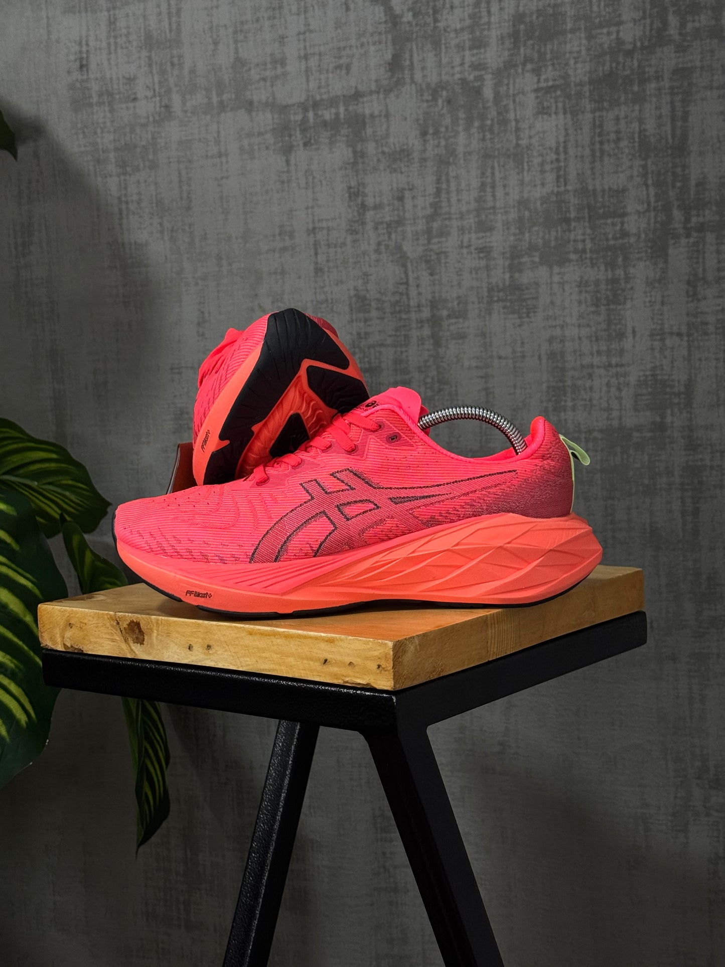Asics Novablast 4 “Sunrise Red”