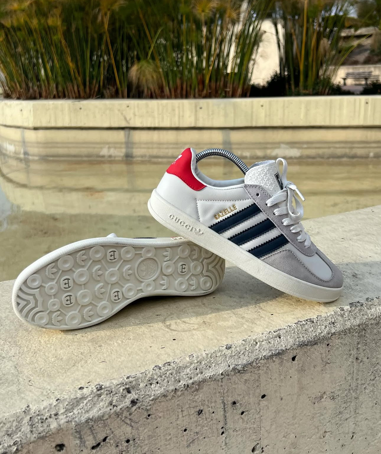 Adidas Gazelle x Gucci
