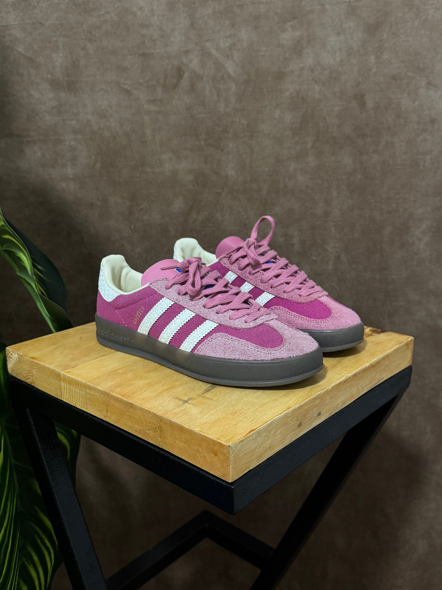 Adidas Gazelle Indoor “Pink”