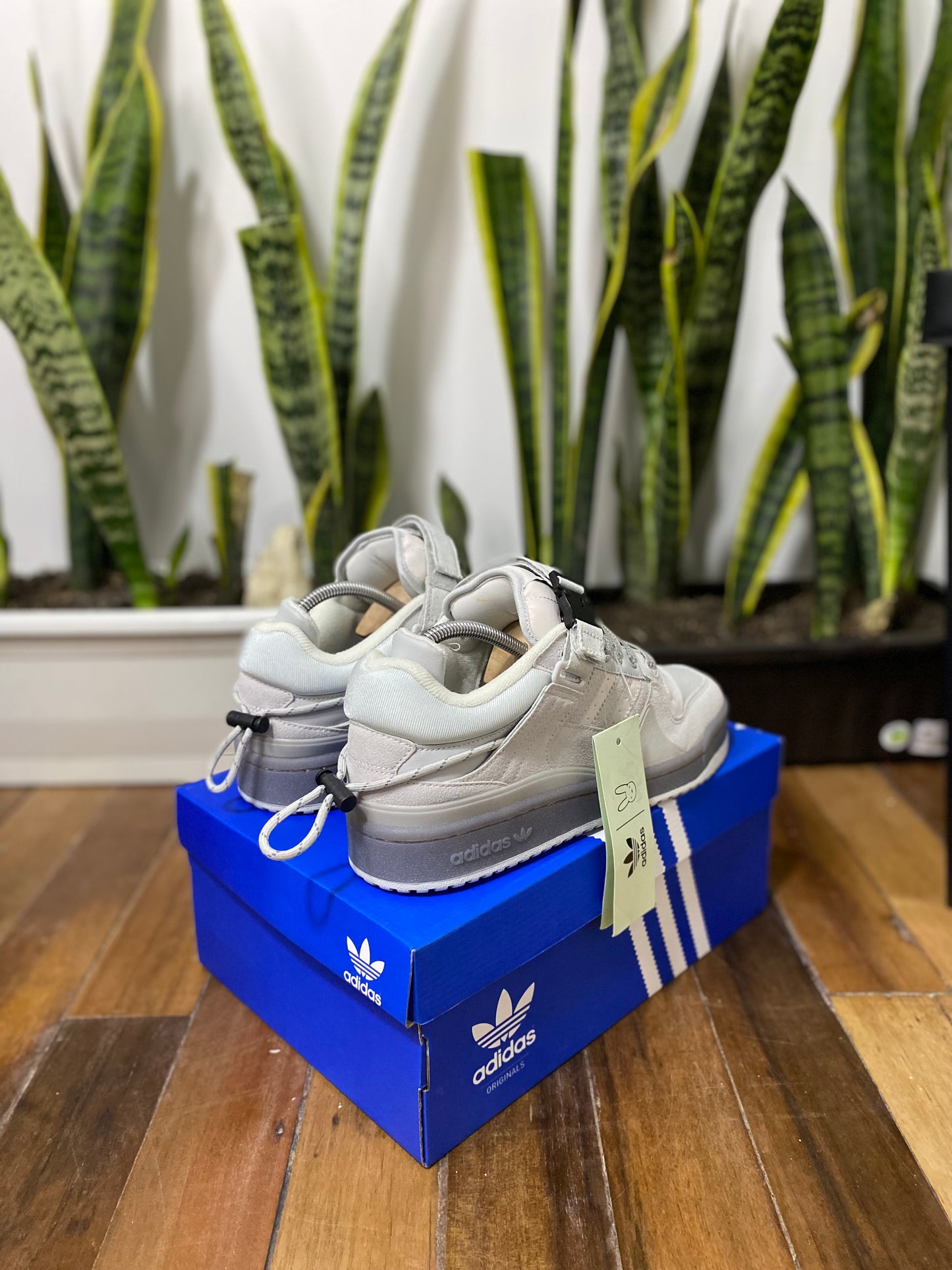 Adidas Forum x Bad Bunny Gris