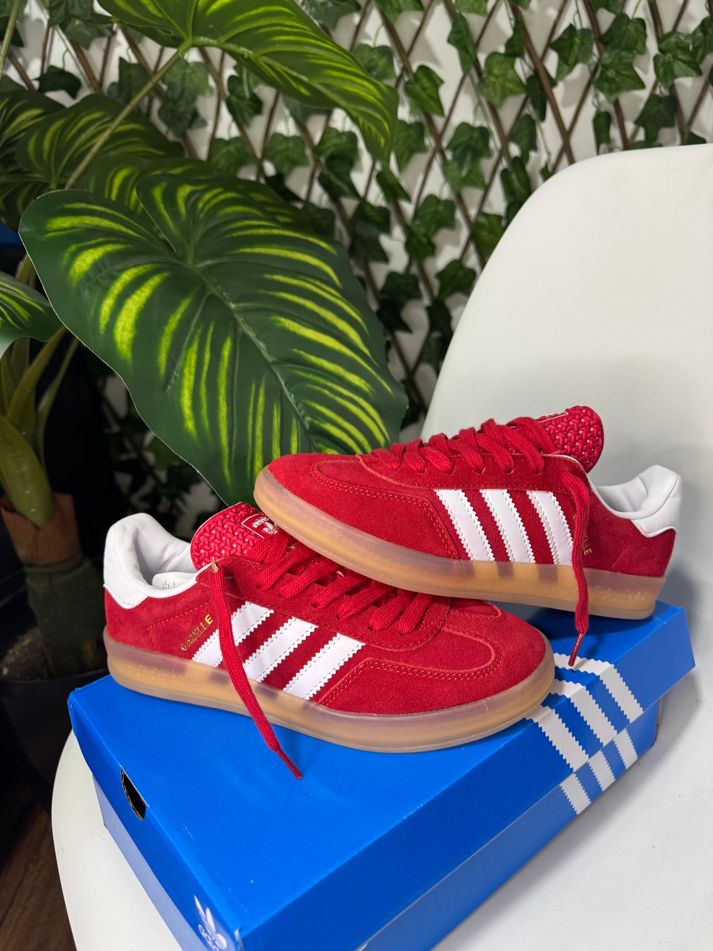Adidas Gazelle Indoor “ Red”