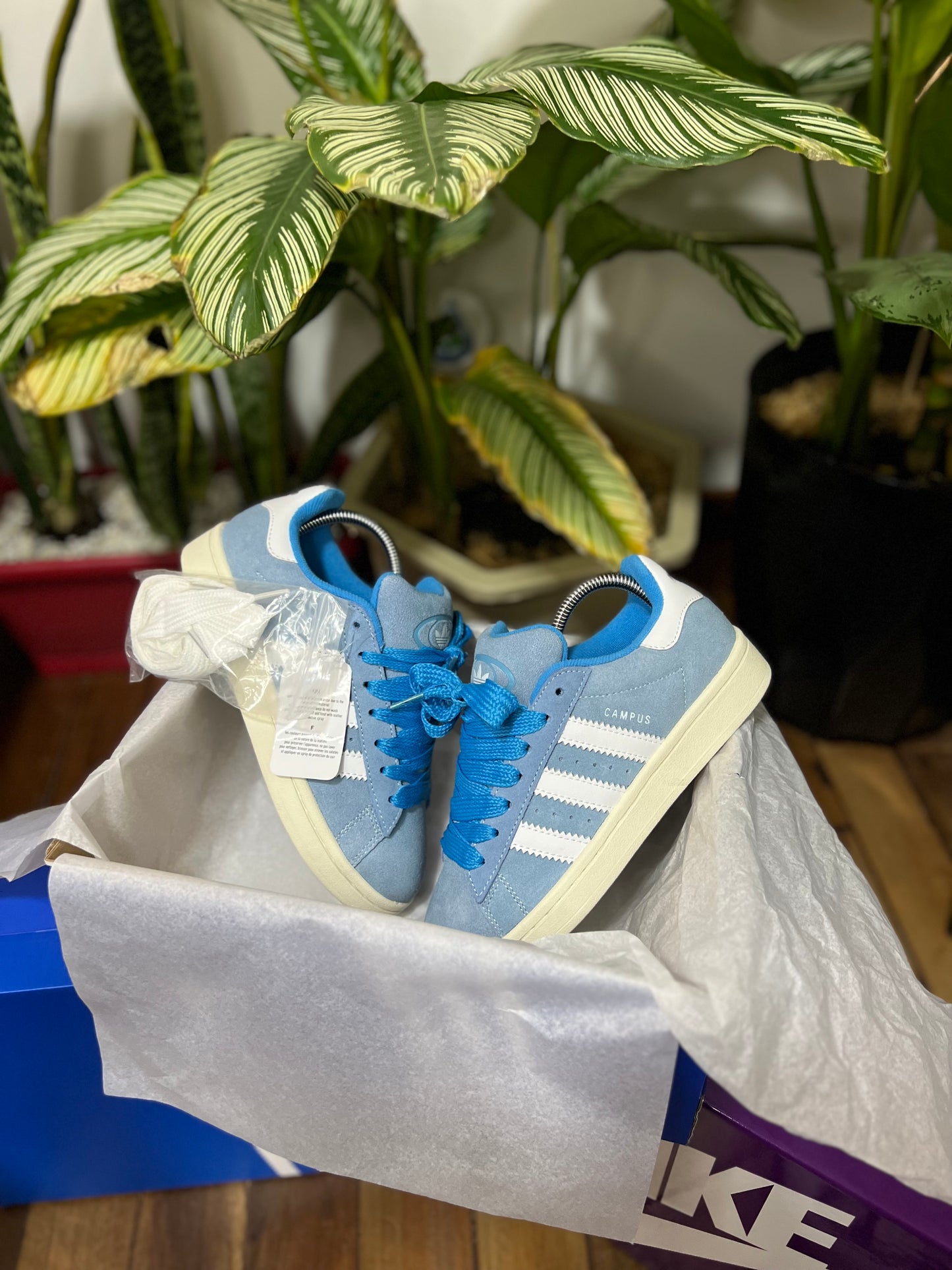 Adidas Campus 00s “Blue”